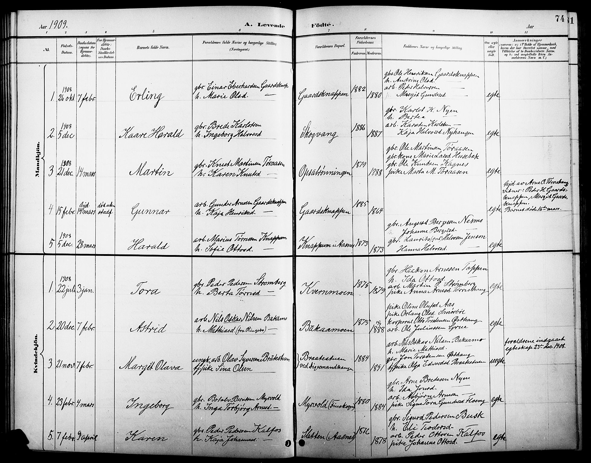 Åsnes prestekontor, AV/SAH-PREST-042/H/Ha/Hab/L0005: Parish register (copy) no. 5, 1895-1920, p. 74