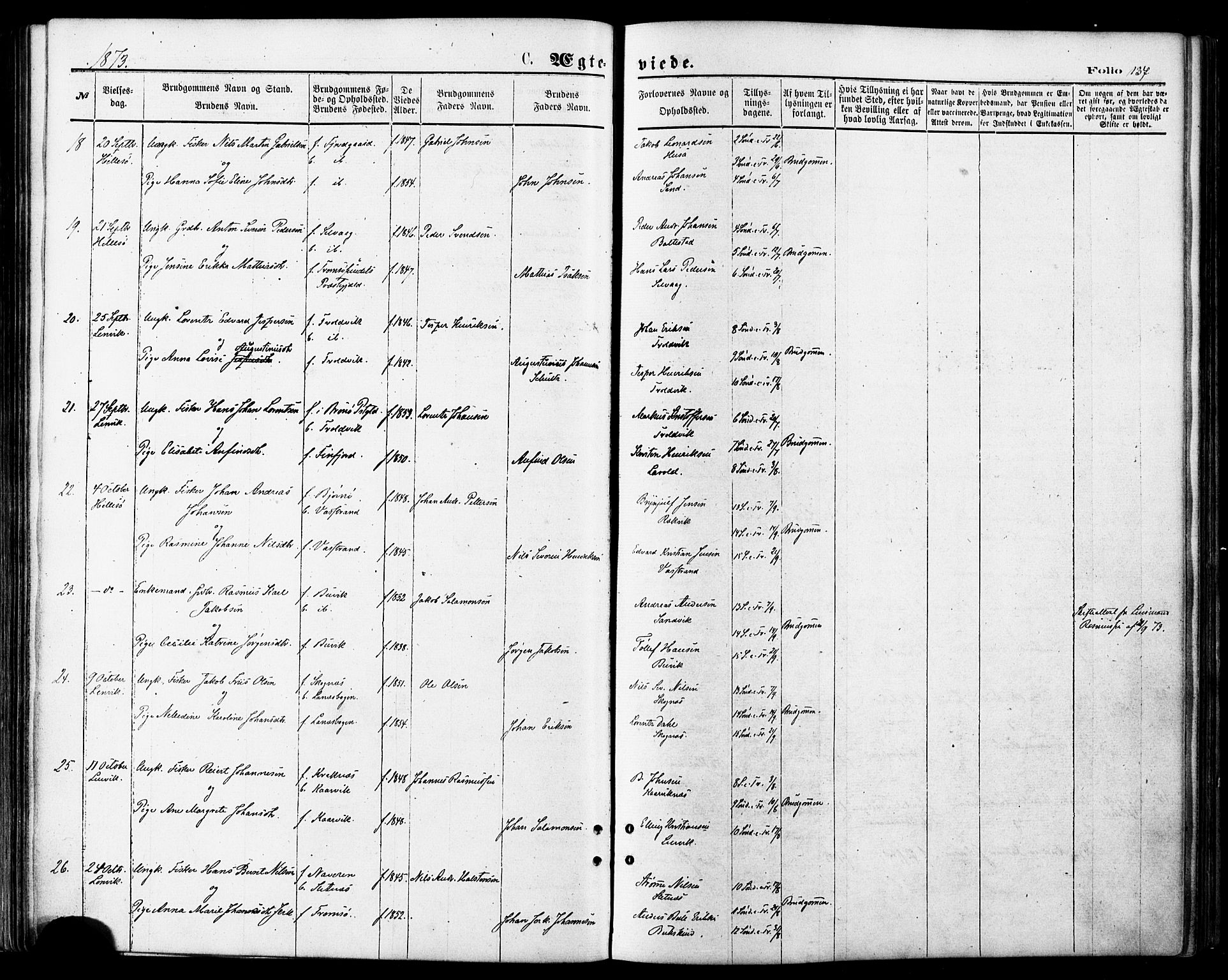 Lenvik sokneprestembete, SATØ/S-1310/H/Ha/Haa/L0010kirke: Parish register (official) no. 10, 1873-1880, p. 137