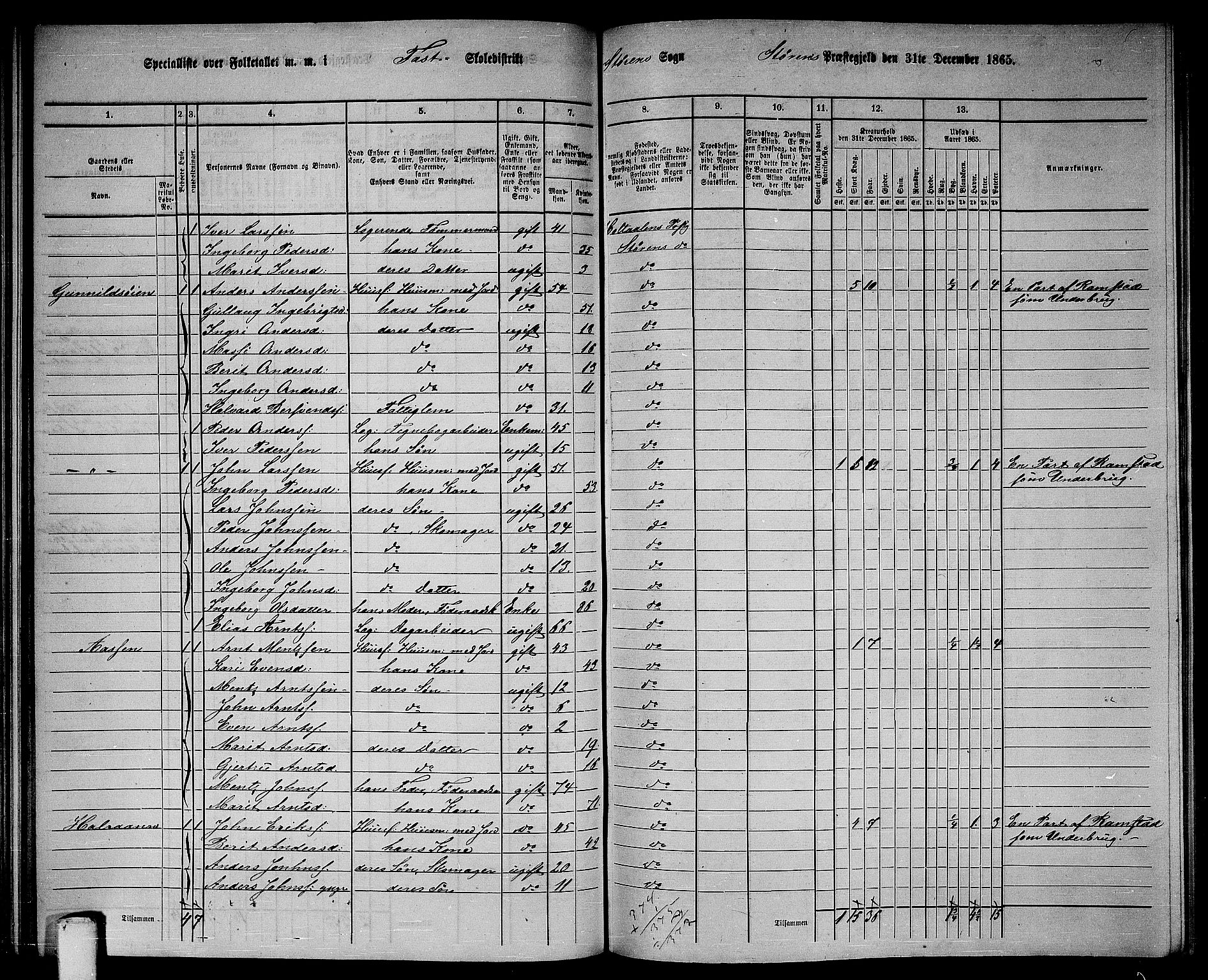 RA, 1865 census for Støren, 1865, p. 96