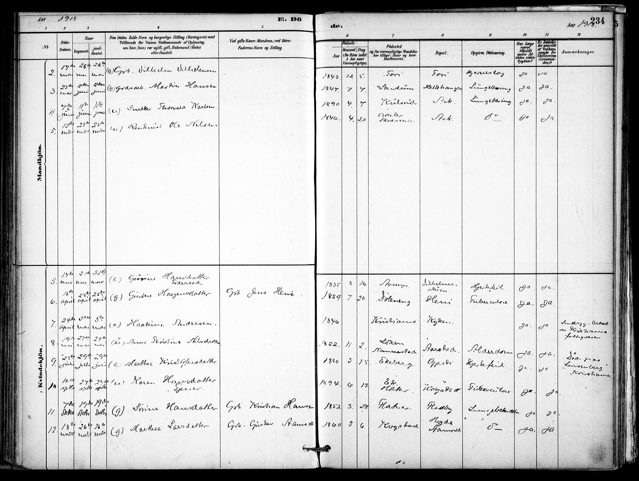 Gjerdrum prestekontor Kirkebøker, SAO/A-10412b/F/Fb/L0001: Parish register (official) no. II 1, 1881-1921, p. 234