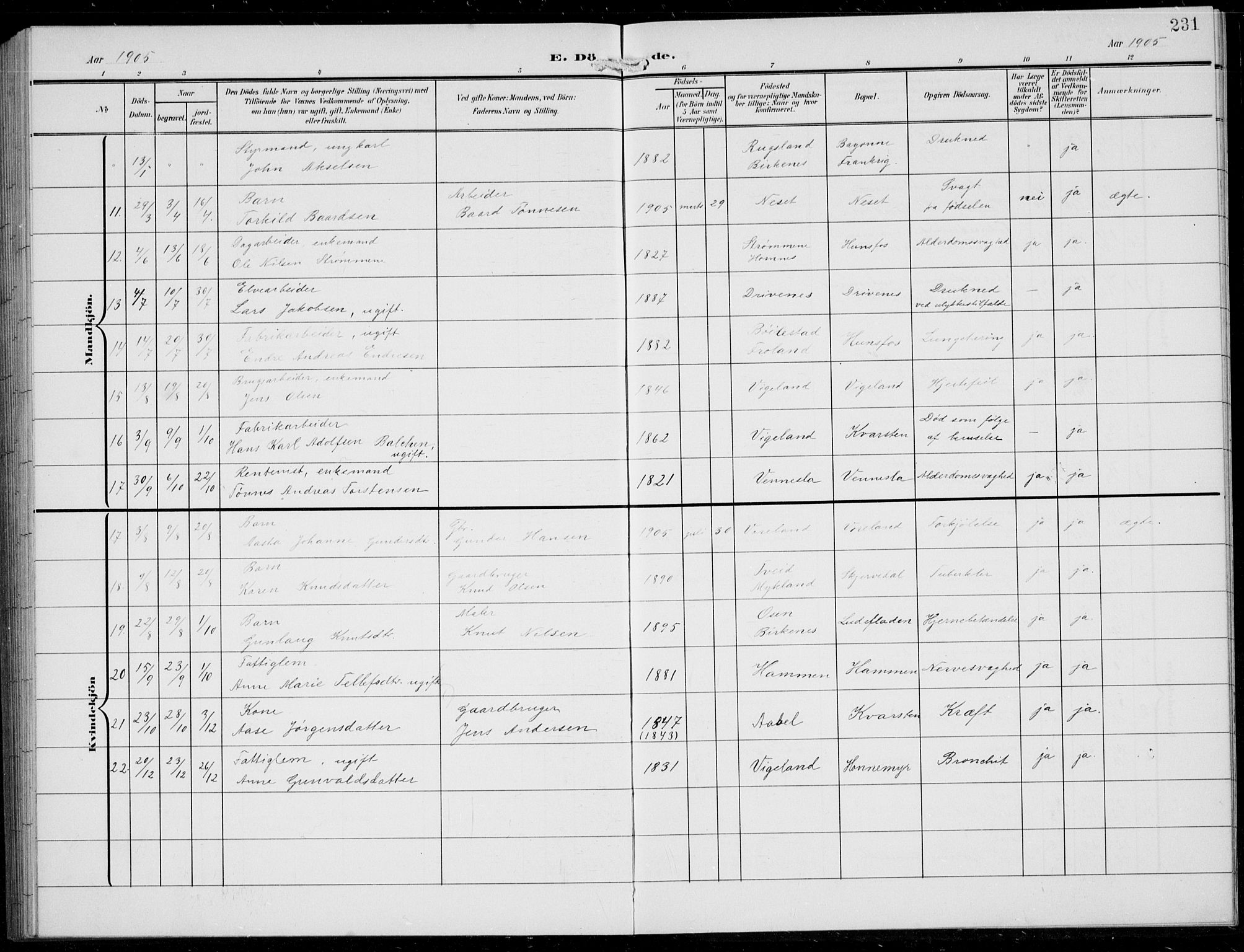 Vennesla sokneprestkontor, AV/SAK-1111-0045/Fb/Fbb/L0005: Parish register (copy) no. B 5, 1903-1913, p. 231