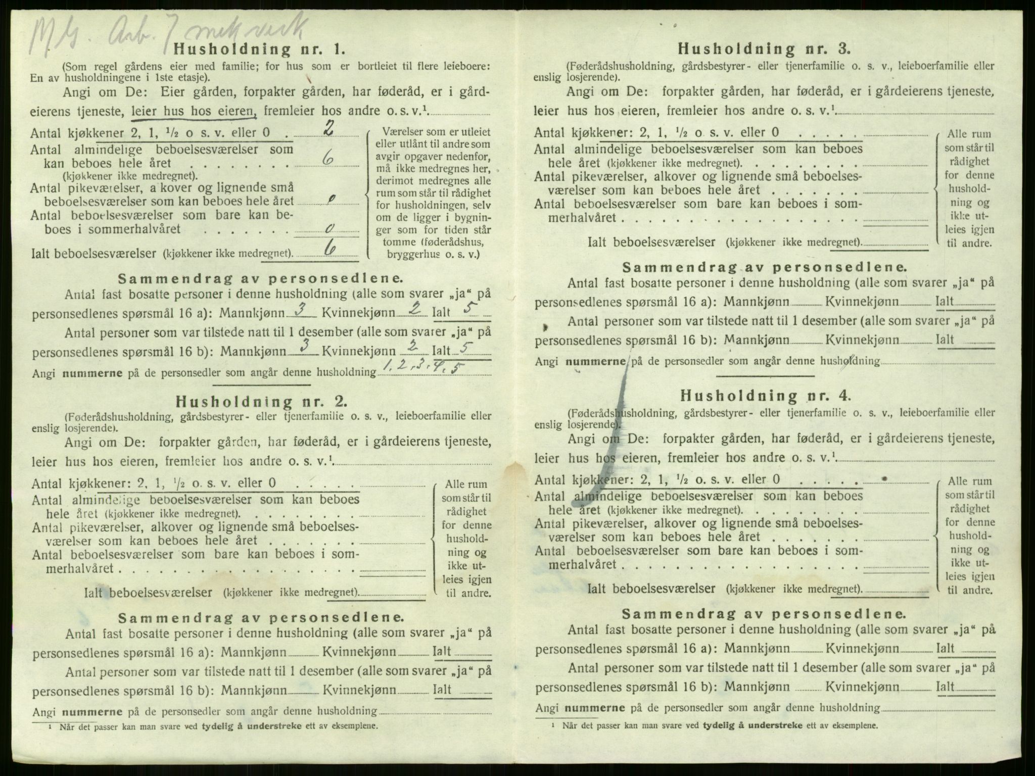 SAKO, 1920 census for Nøtterøy, 1920, p. 1047