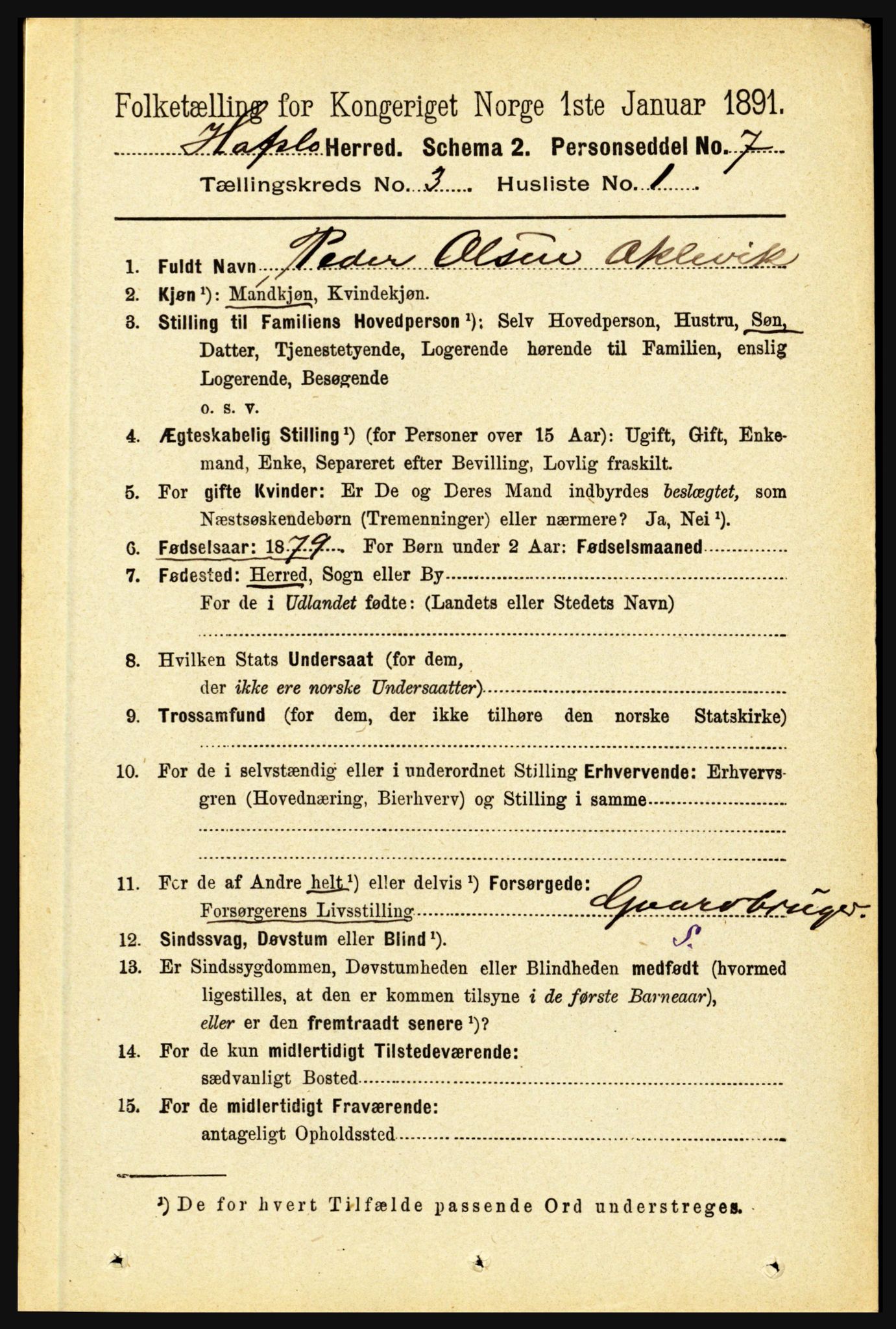 RA, 1891 census for 1425 Hafslo, 1891, p. 988