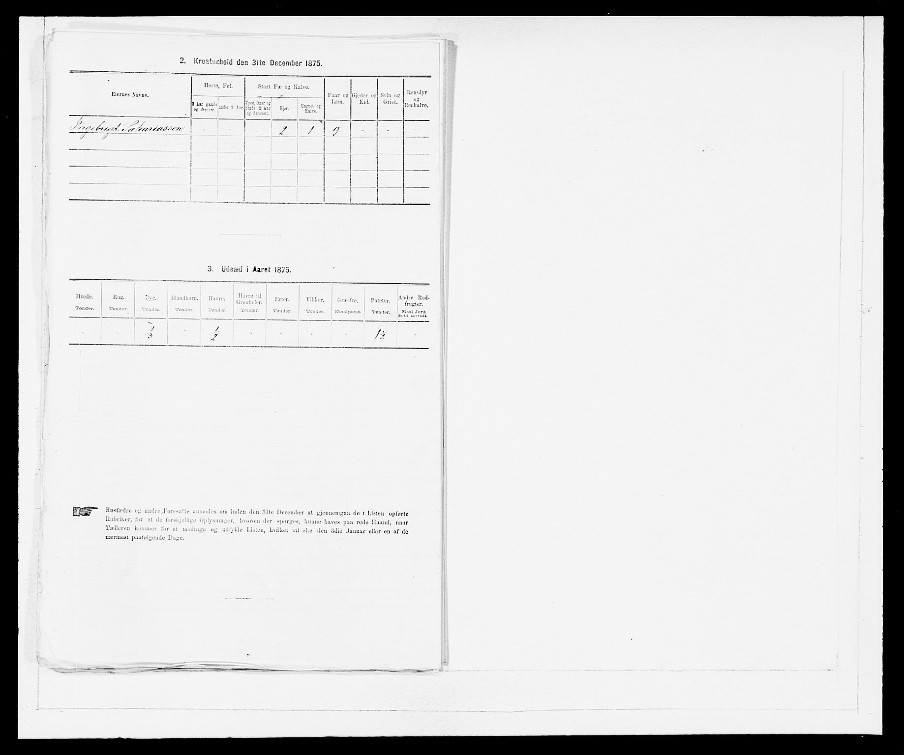 SAB, 1875 Census for 1448P Stryn, 1875, p. 703