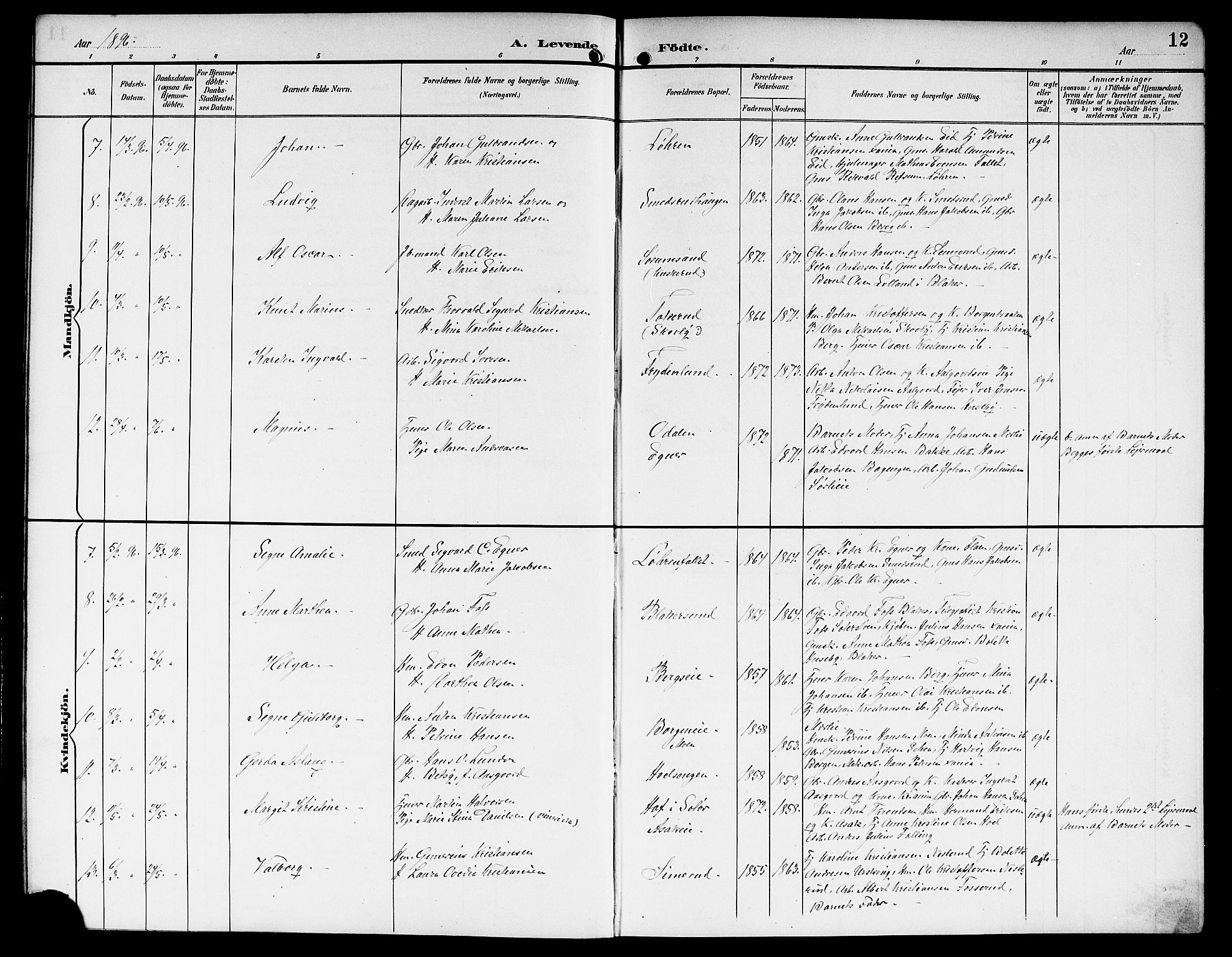 Sørum prestekontor Kirkebøker, AV/SAO-A-10303/G/Ga/L0006: Parish register (copy) no. I 6, 1894-1906, p. 12