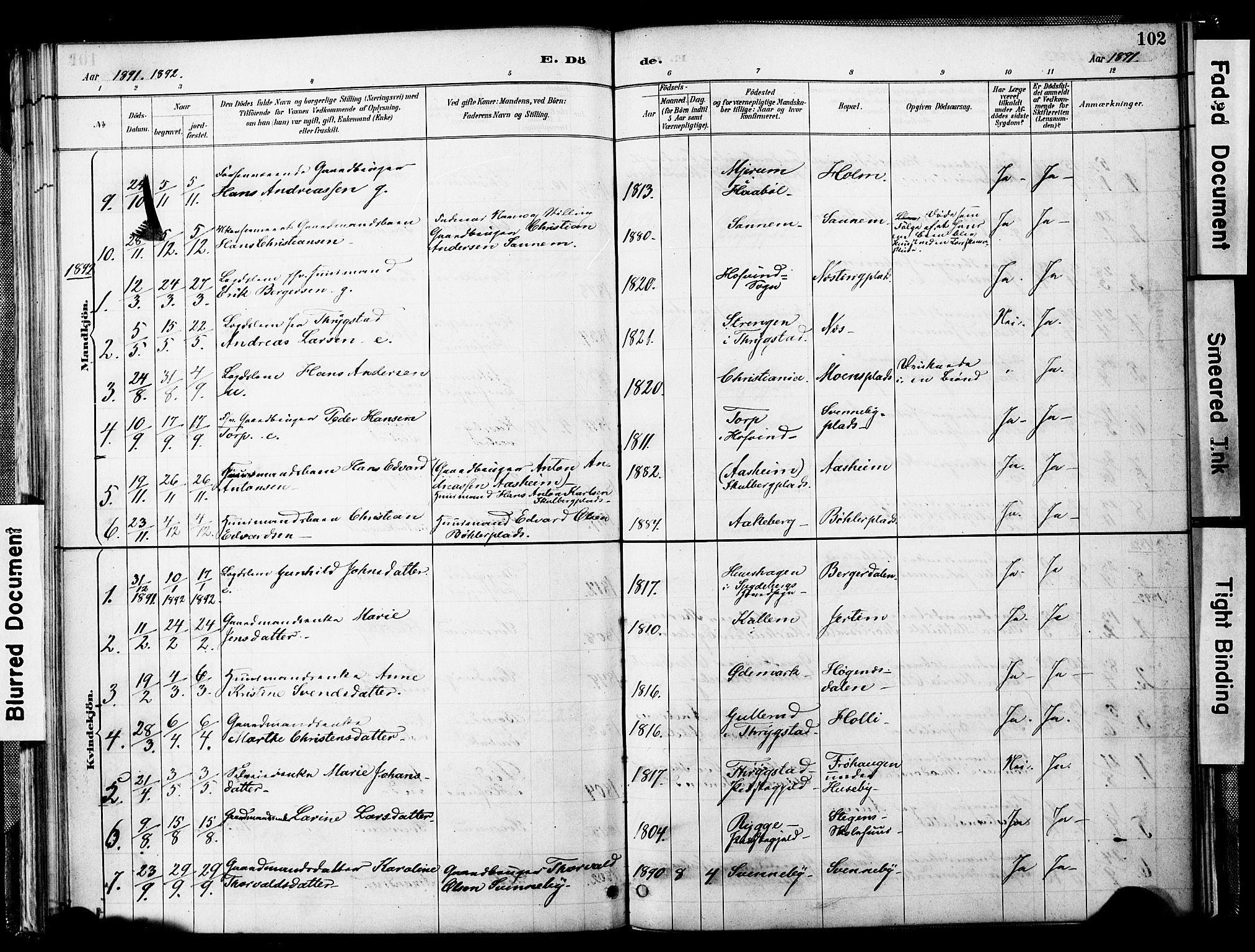Spydeberg prestekontor Kirkebøker, SAO/A-10924/F/Fb/L0001: Parish register (official) no. II 1, 1886-1907, p. 102