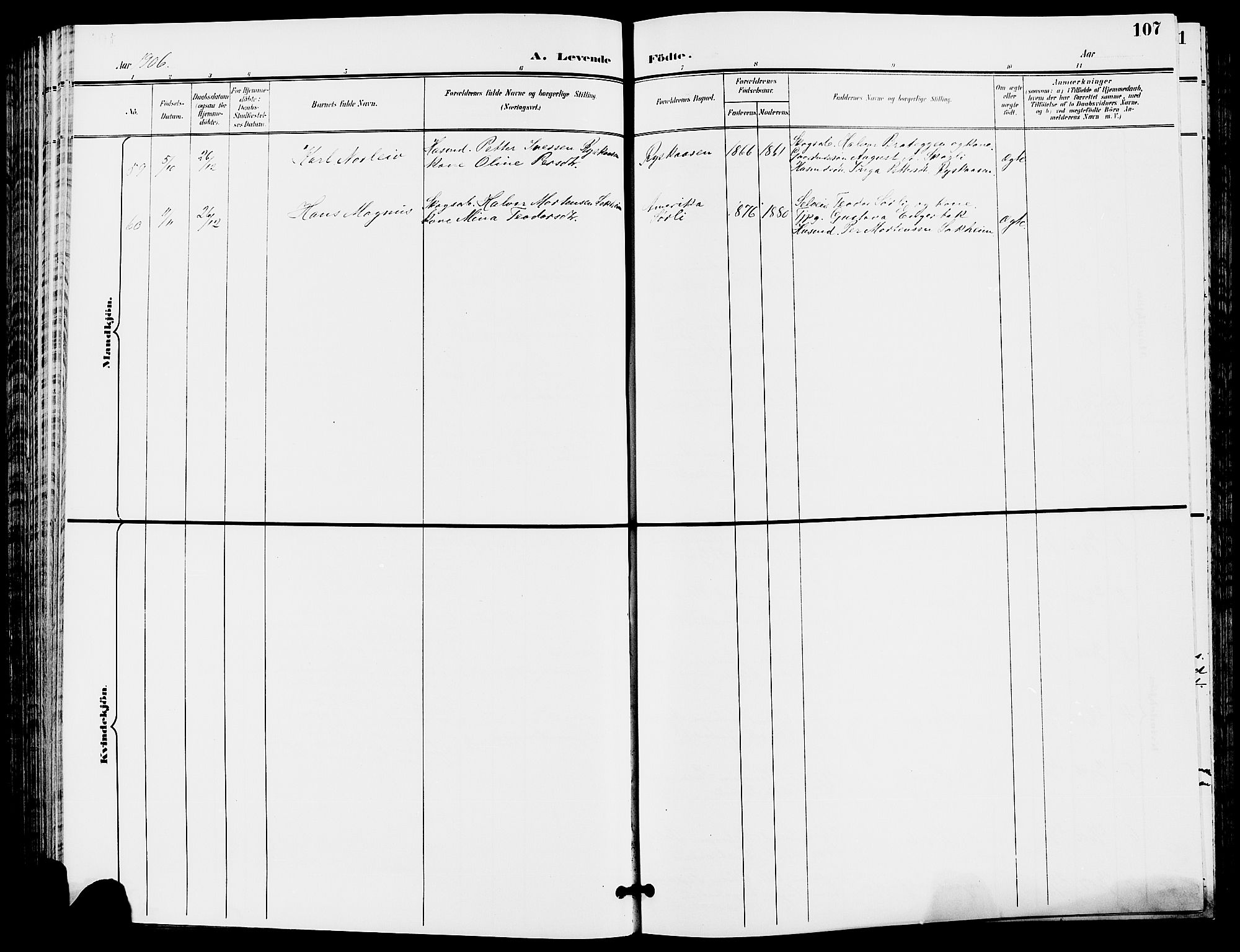 Trysil prestekontor, SAH/PREST-046/H/Ha/Hab/L0006: Parish register (copy) no. 6, 1896-1912, p. 107