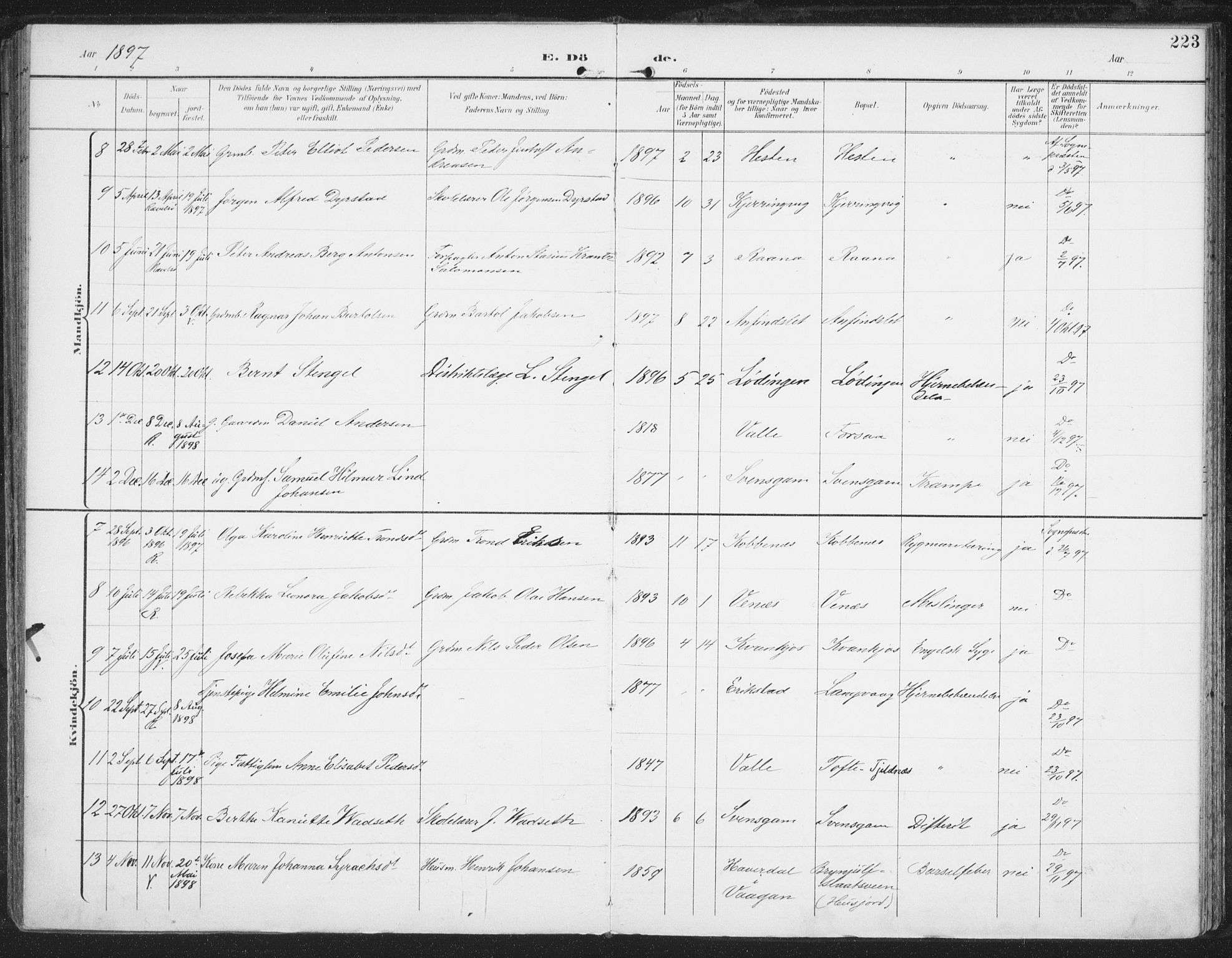 Ministerialprotokoller, klokkerbøker og fødselsregistre - Nordland, AV/SAT-A-1459/872/L1036: Parish register (official) no. 872A11, 1897-1913, p. 223