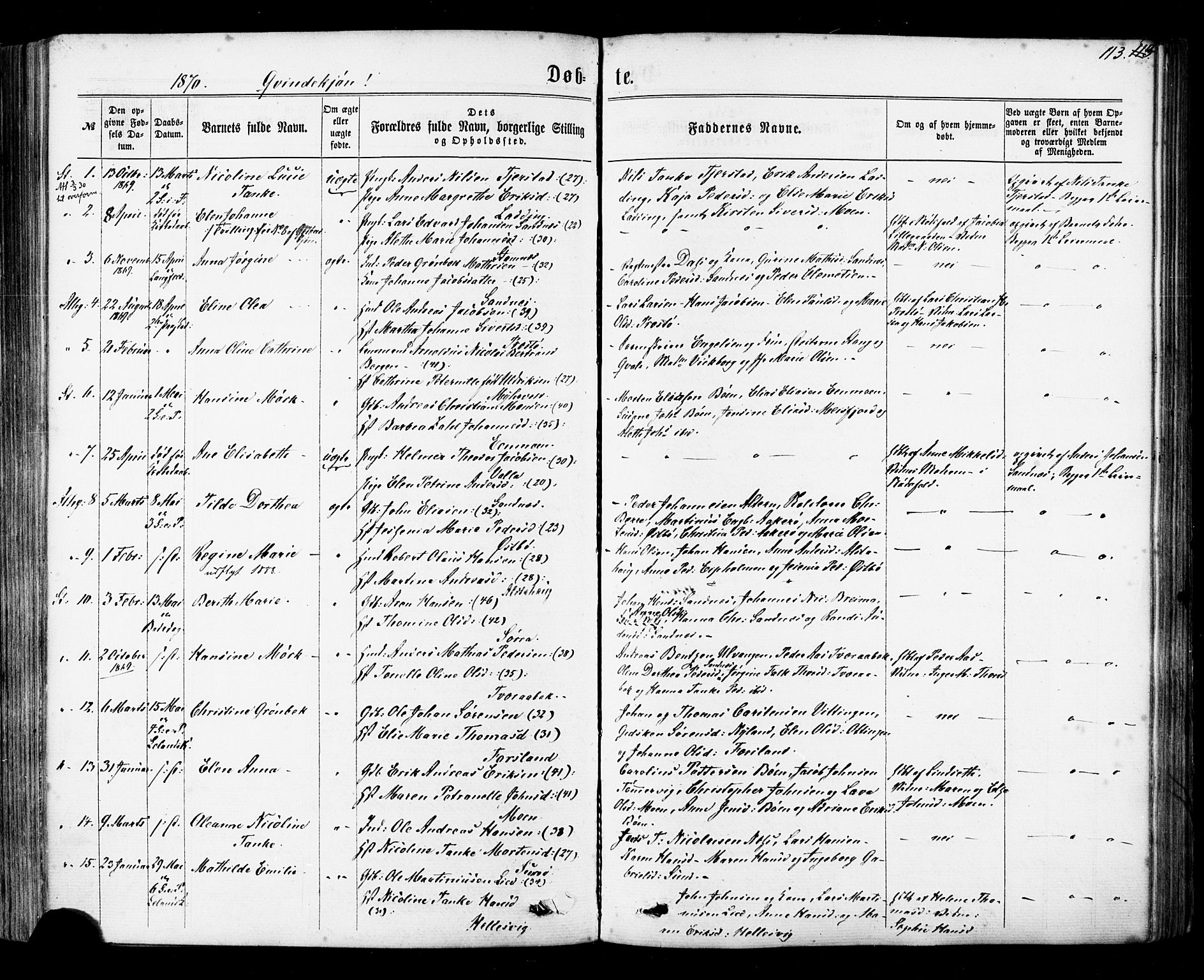 Ministerialprotokoller, klokkerbøker og fødselsregistre - Nordland, SAT/A-1459/830/L0449: Parish register (official) no. 830A13, 1866-1886, p. 113