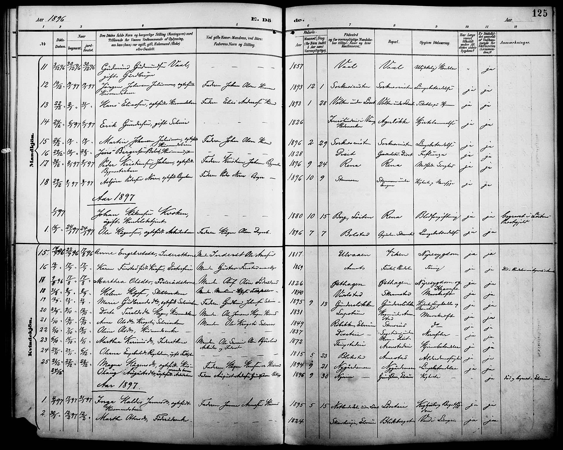 Åmot prestekontor, Hedmark, AV/SAH-PREST-056/H/Ha/Haa/L0011: Parish register (official) no. 11, 1890-1897, p. 125