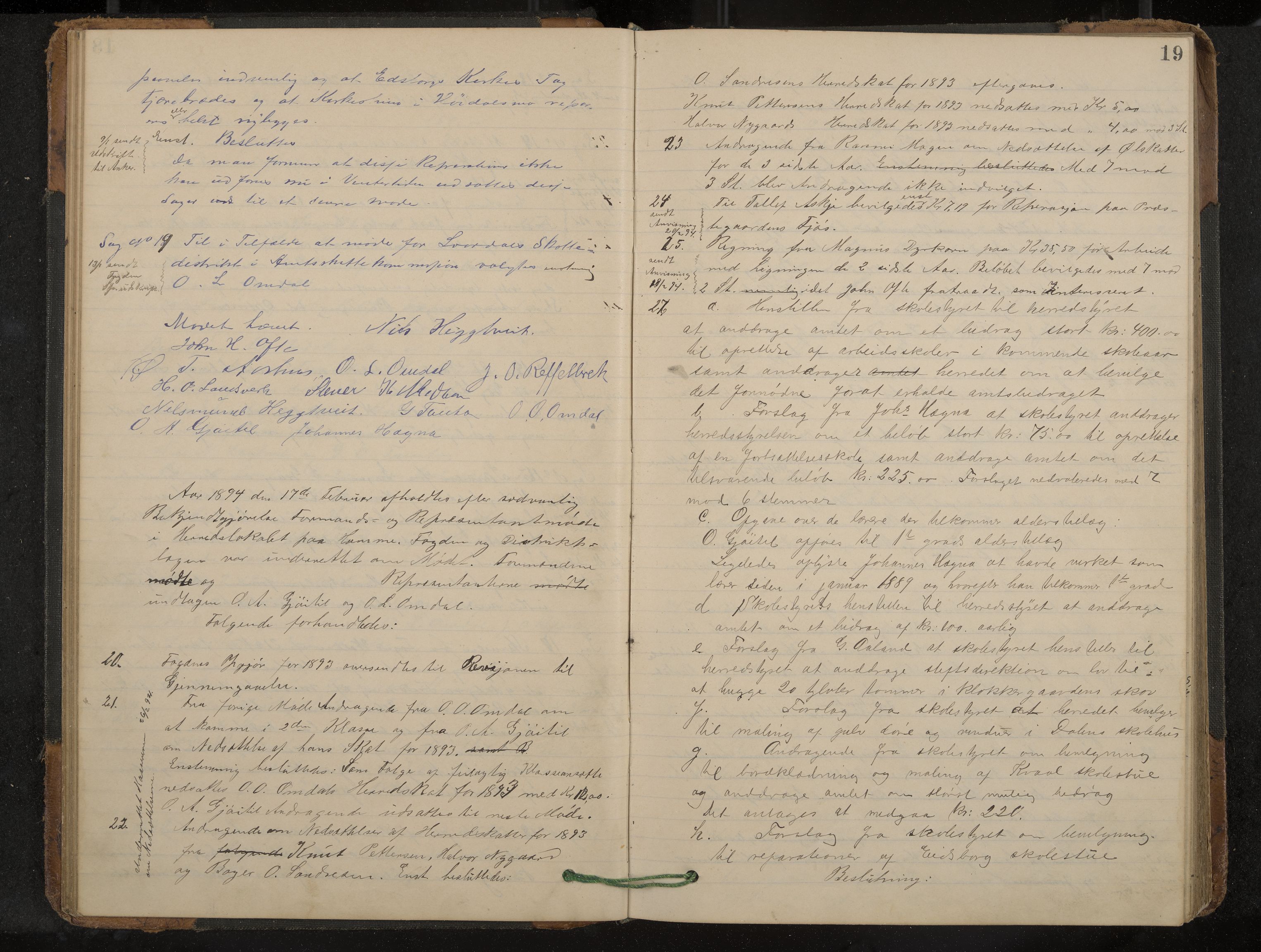 Lårdal formannskap og sentraladministrasjon, IKAK/0833021/A/L0003: Møtebok, 1893-1901, p. 19