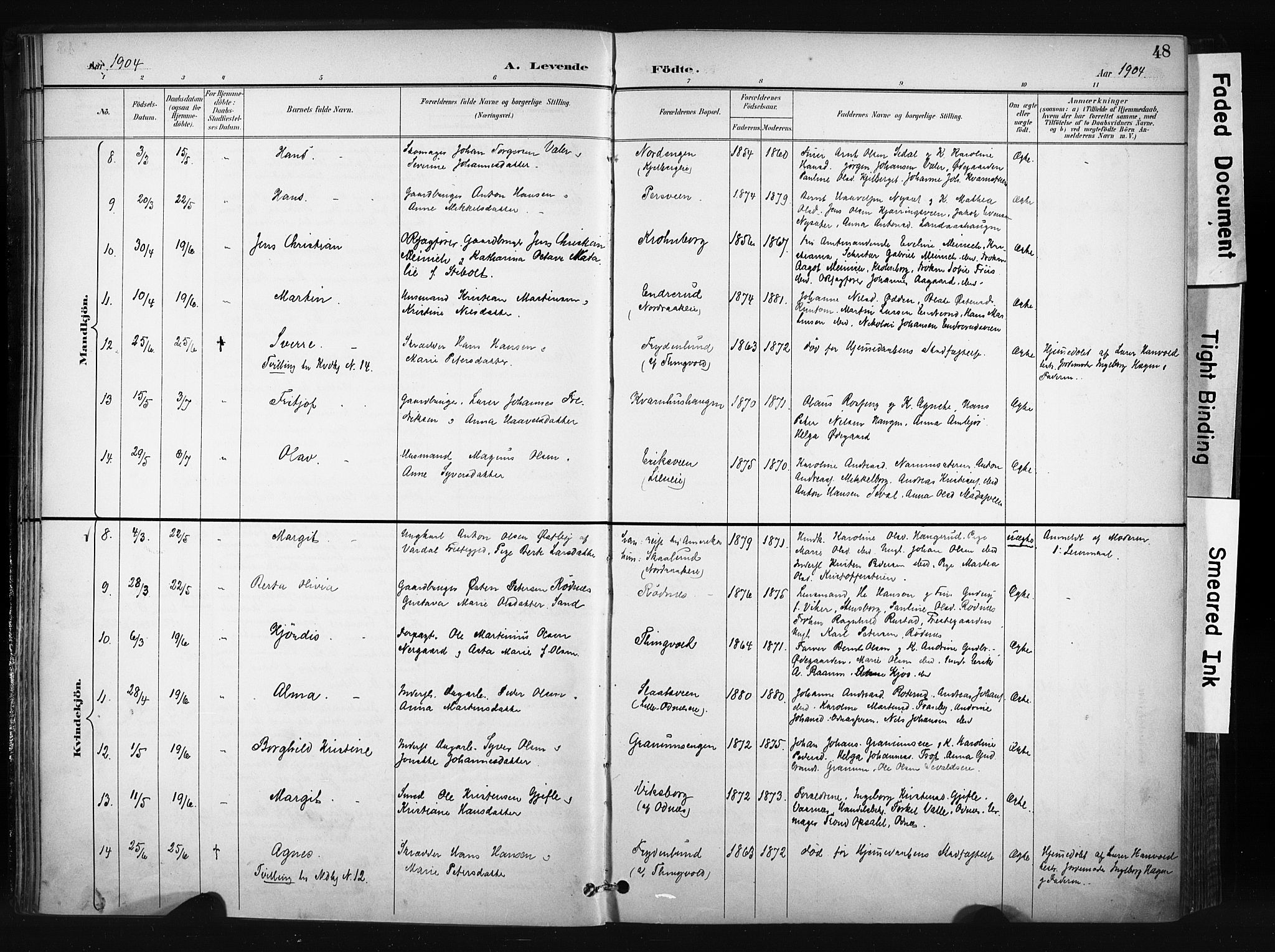 Søndre Land prestekontor, AV/SAH-PREST-122/K/L0004: Parish register (official) no. 4, 1895-1904, p. 48