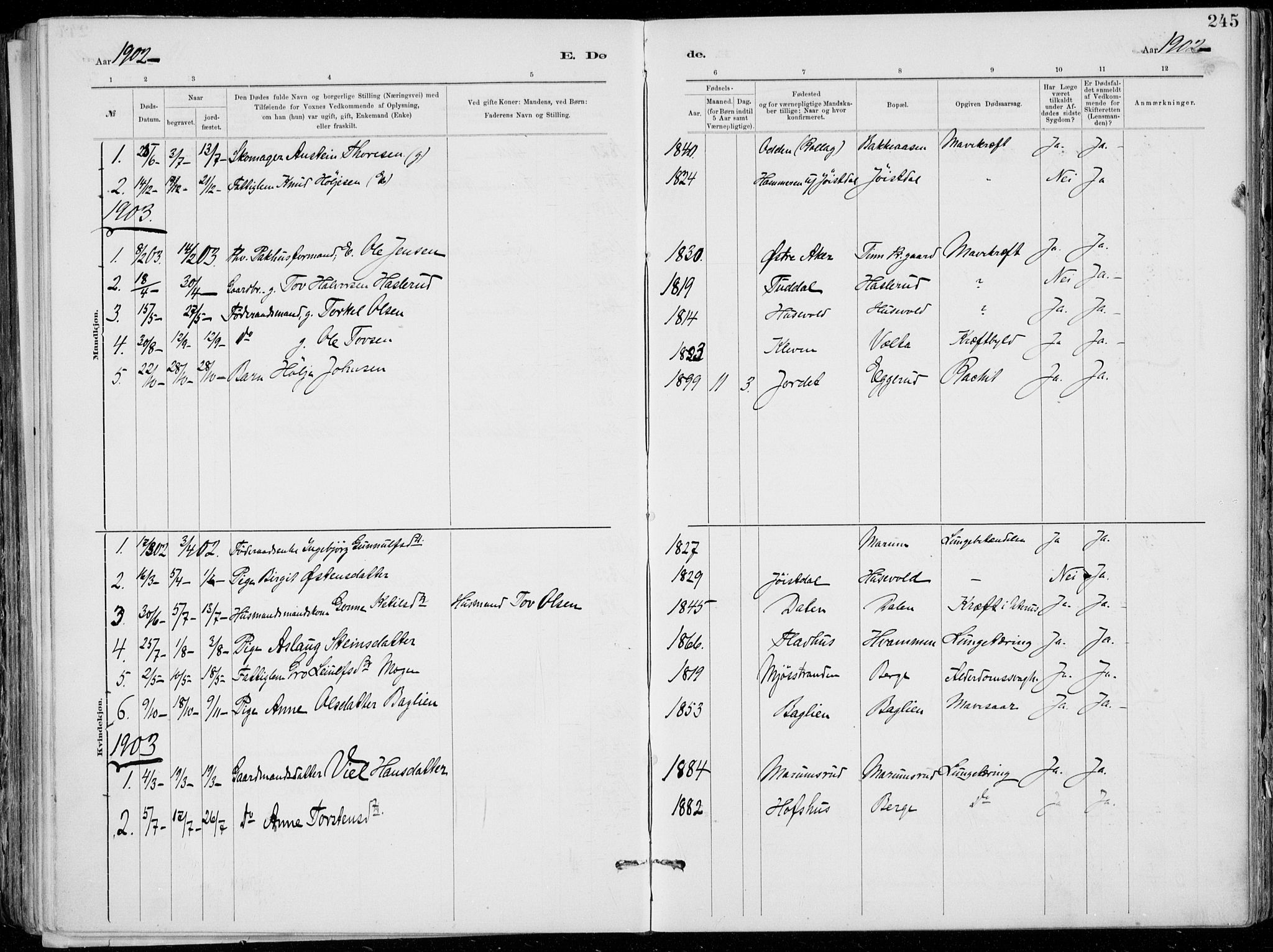 Tinn kirkebøker, SAKO/A-308/F/Fa/L0007: Parish register (official) no. I 7, 1878-1922, p. 245