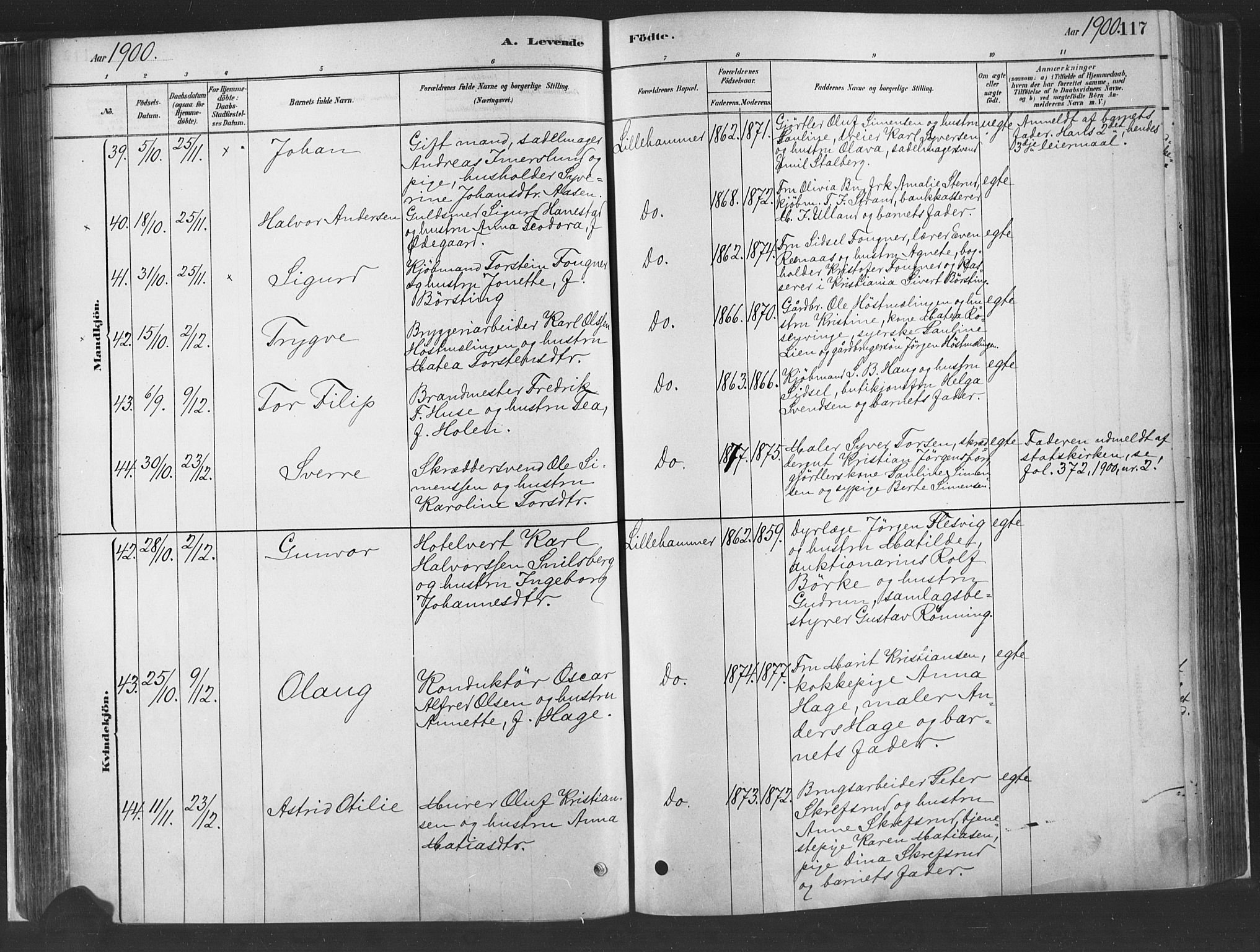 Fåberg prestekontor, SAH/PREST-086/H/Ha/Haa/L0010: Parish register (official) no. 10, 1879-1900, p. 117