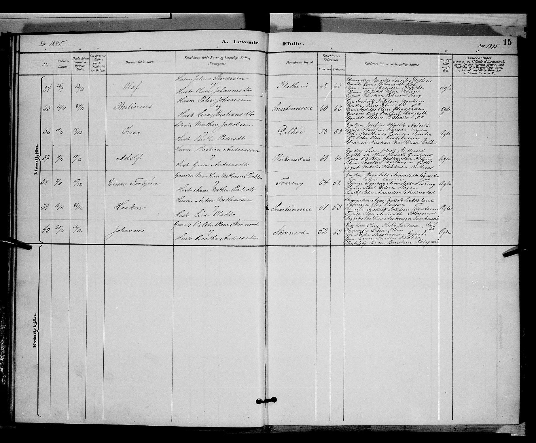 Biri prestekontor, SAH/PREST-096/H/Ha/Hab/L0003: Parish register (copy) no. 3, 1892-1905, p. 15