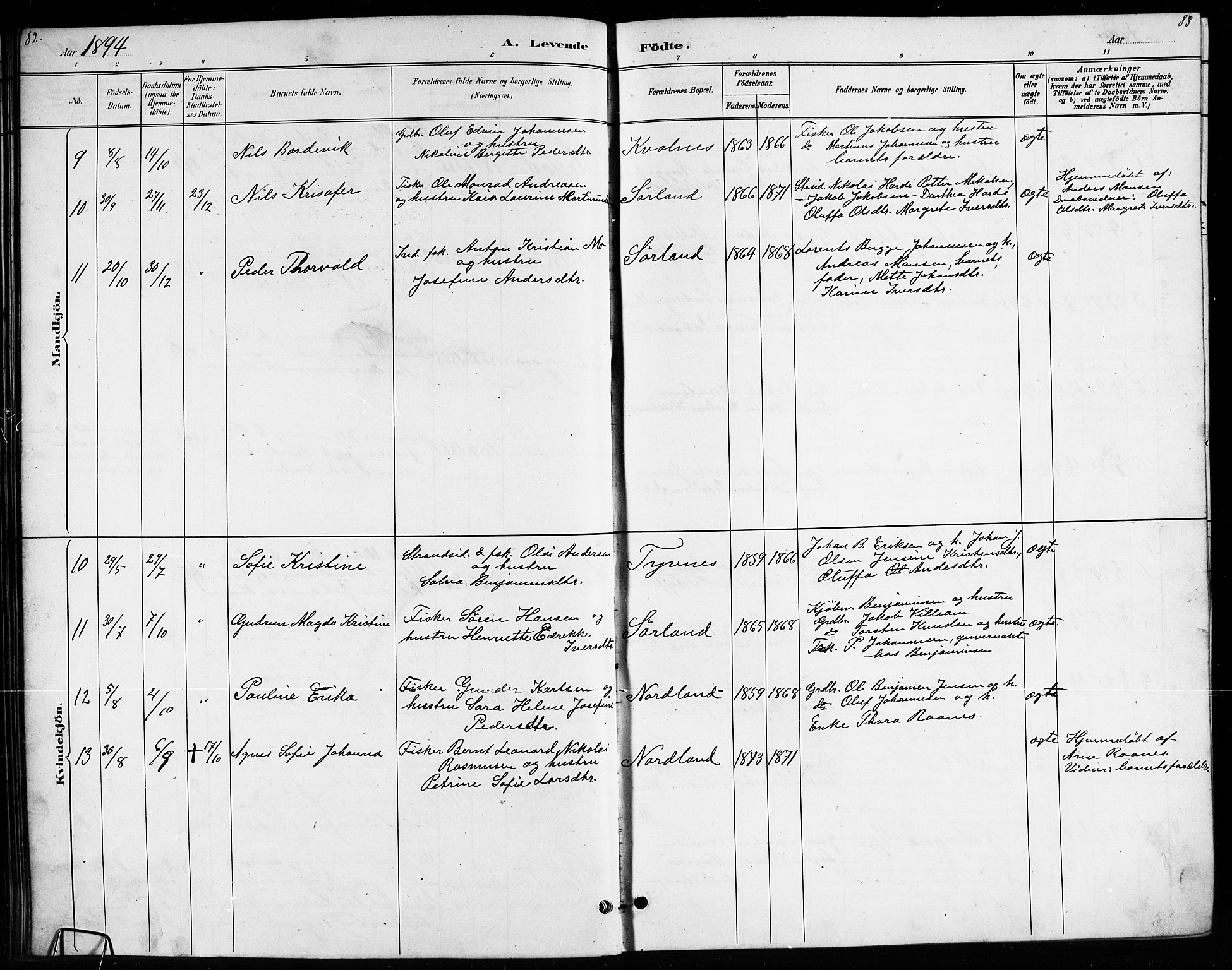 Ministerialprotokoller, klokkerbøker og fødselsregistre - Nordland, AV/SAT-A-1459/807/L0123: Parish register (copy) no. 807C01, 1884-1910, p. 82-83