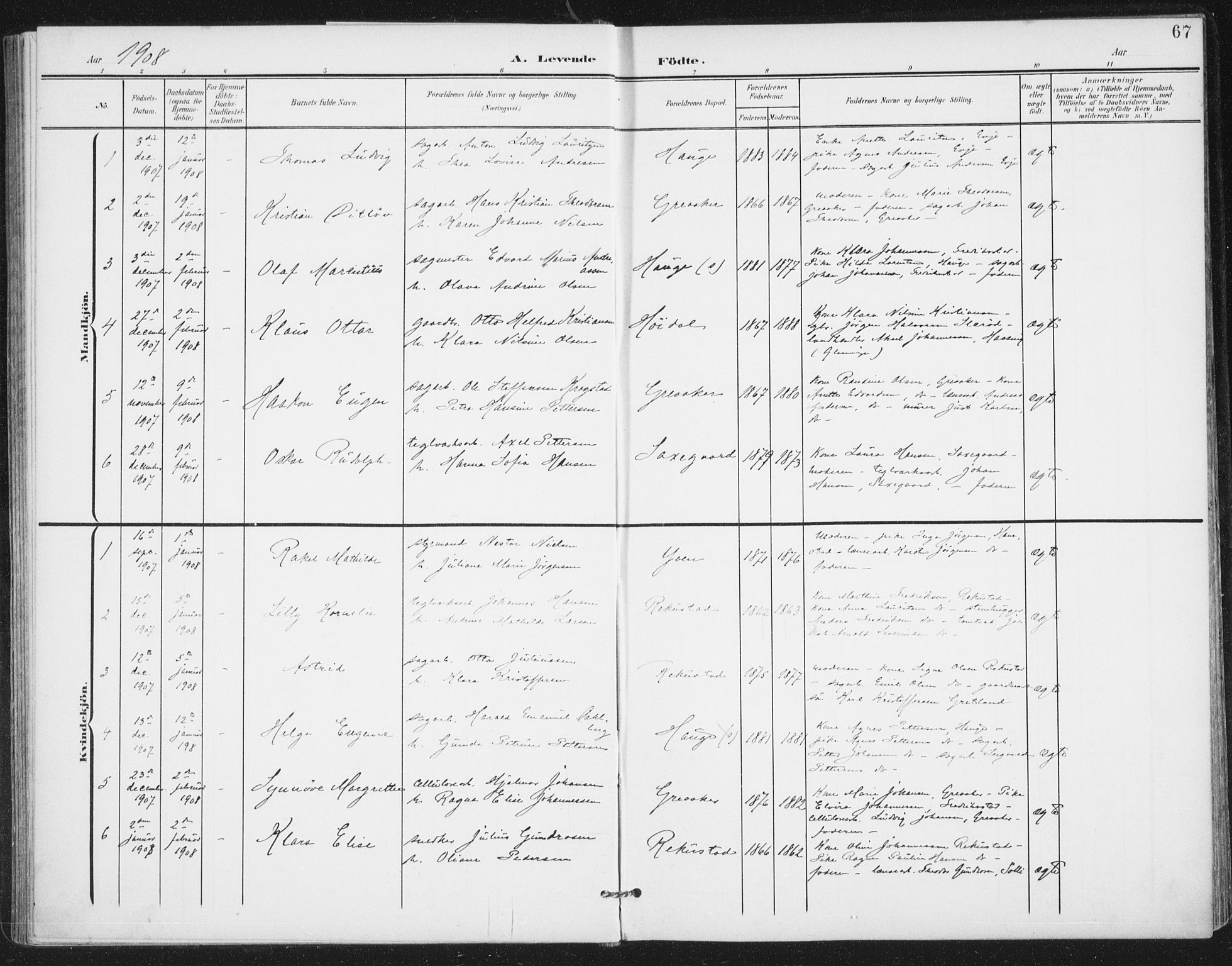 Rolvsøy prestekontor Kirkebøker, AV/SAO-A-2004/F/Fa/L0001: Parish register (official) no. 1, 1901-1909, p. 67