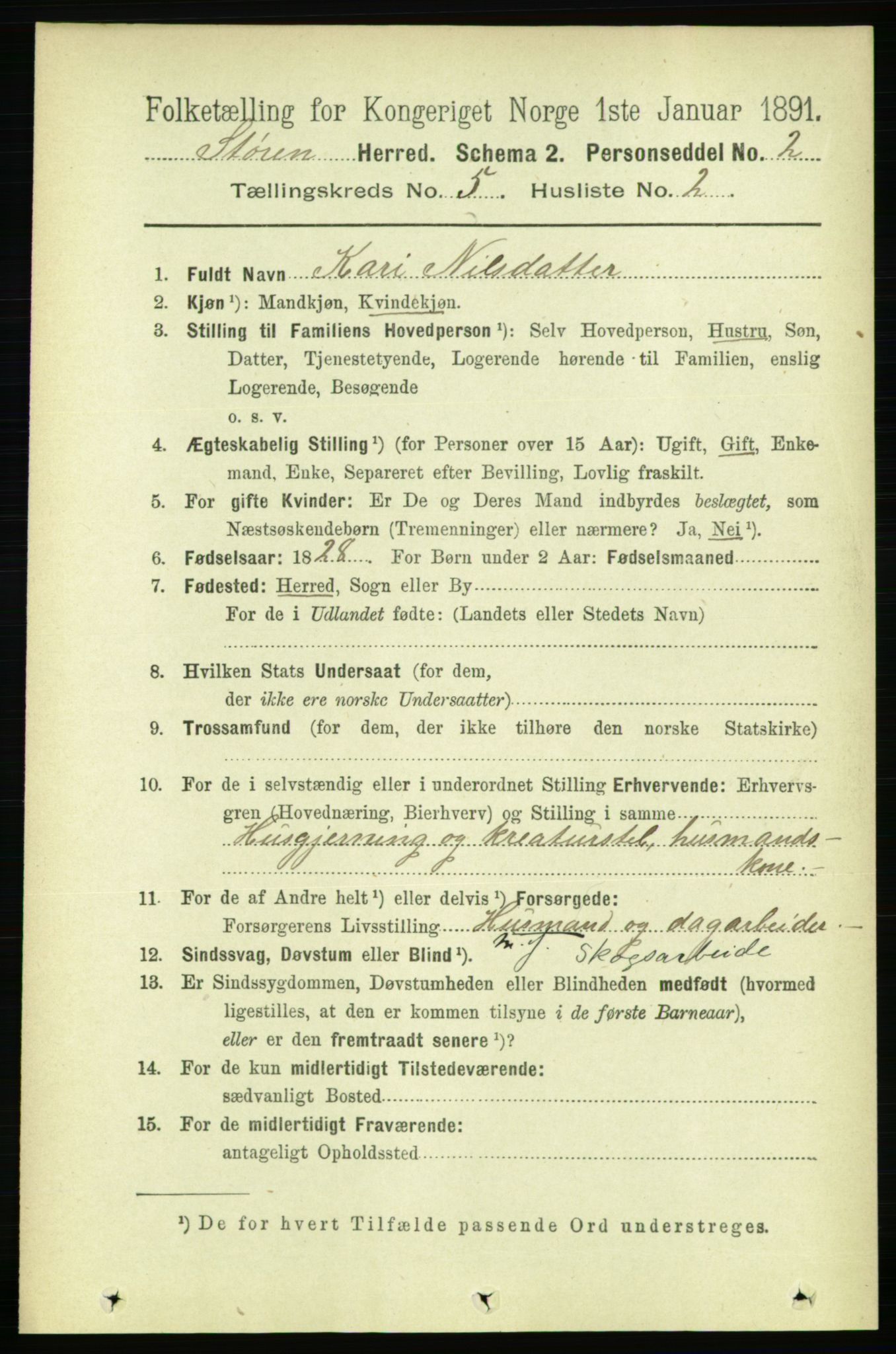 RA, 1891 census for 1648 Støren, 1891, p. 1941