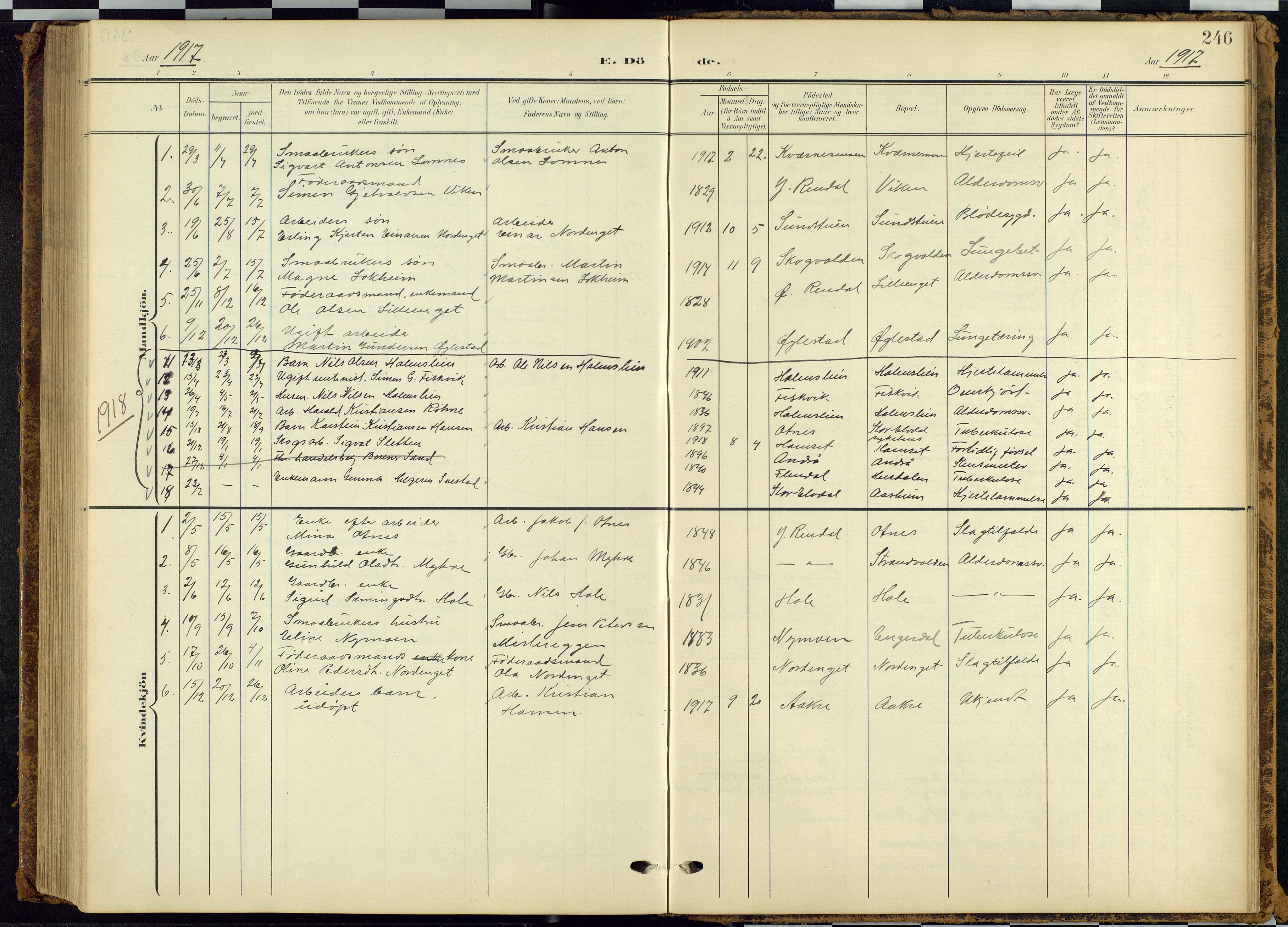 Rendalen prestekontor, SAH/PREST-054/H/Ha/Hab/L0010: Parish register (copy) no. 10, 1903-1940, p. 246