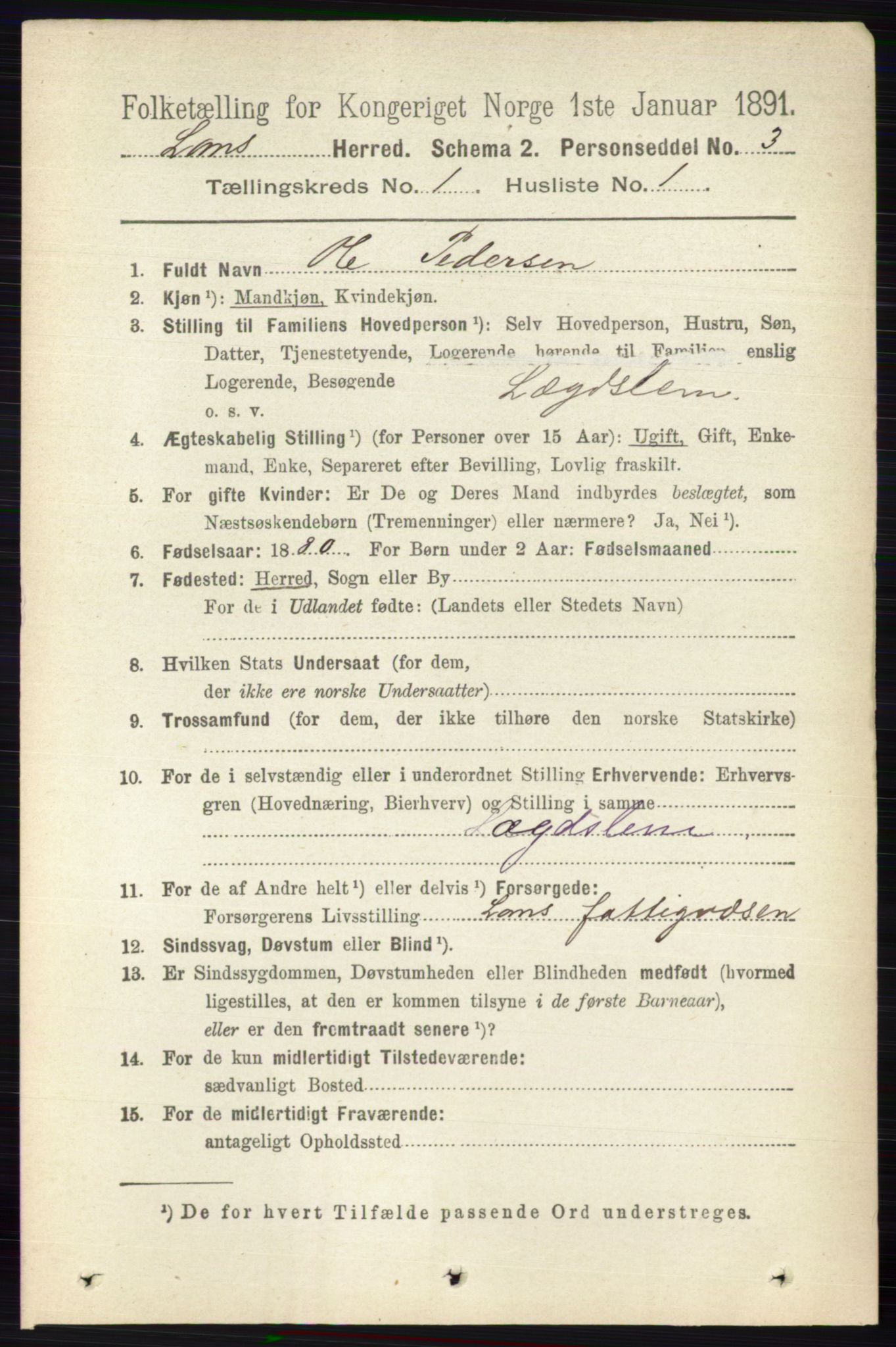 RA, 1891 census for 0514 Lom, 1891, p. 123