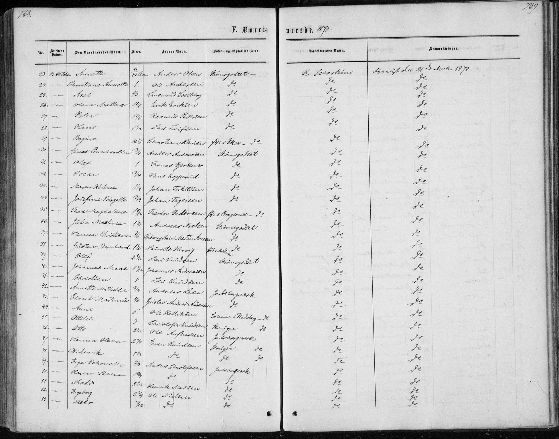 Skoger kirkebøker, AV/SAKO-A-59/F/Fa/L0004: Parish register (official) no. I 4, 1862-1872, p. 768-769