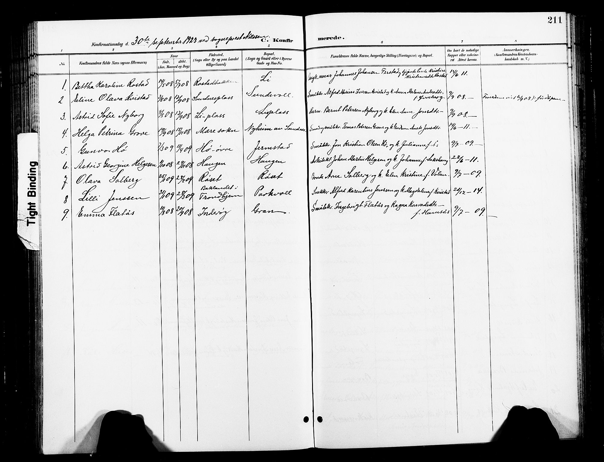 Ministerialprotokoller, klokkerbøker og fødselsregistre - Nord-Trøndelag, SAT/A-1458/730/L0302: Parish register (copy) no. 730C05, 1898-1924, p. 211
