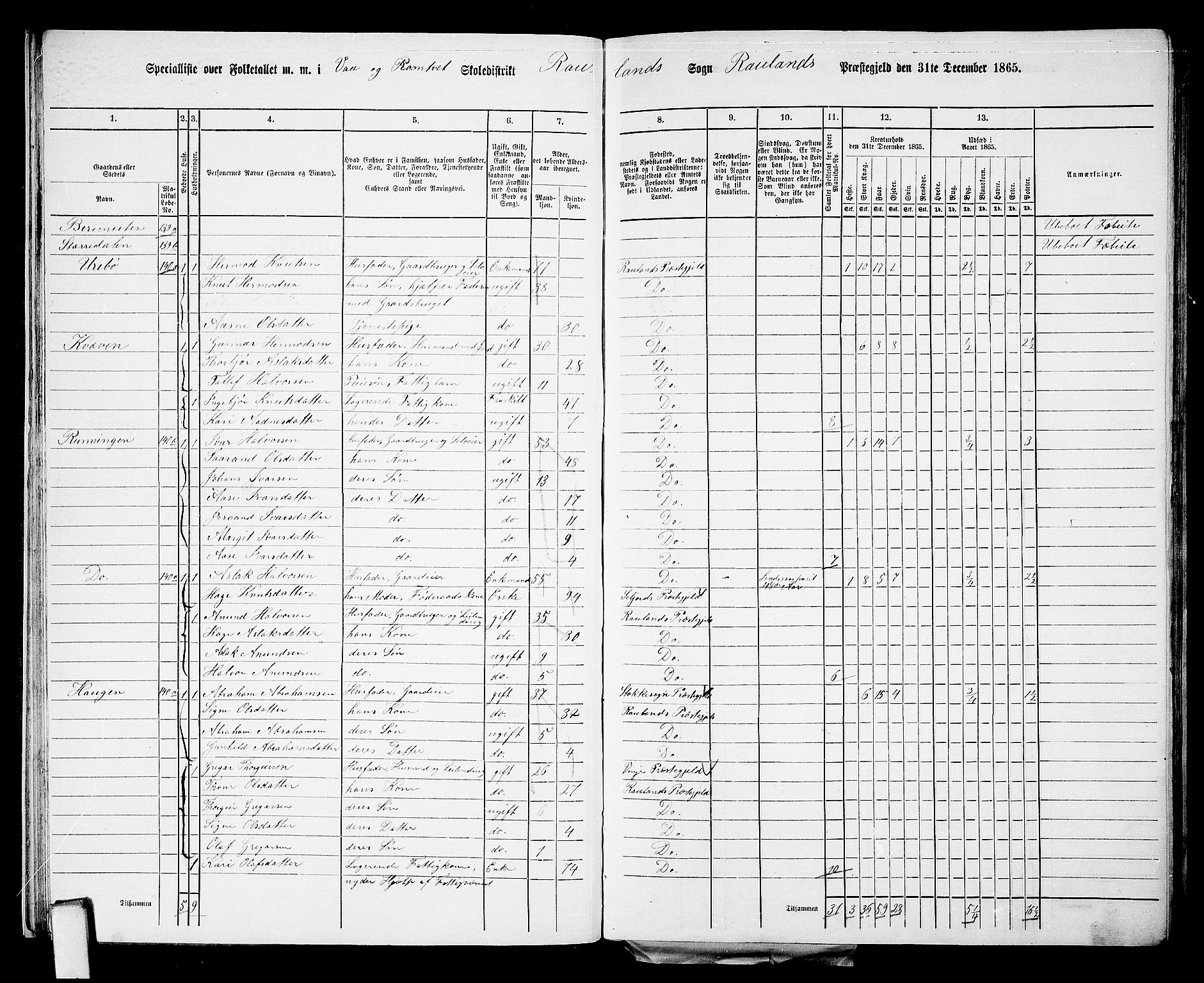 RA, 1865 census for Rauland, 1865, p. 23