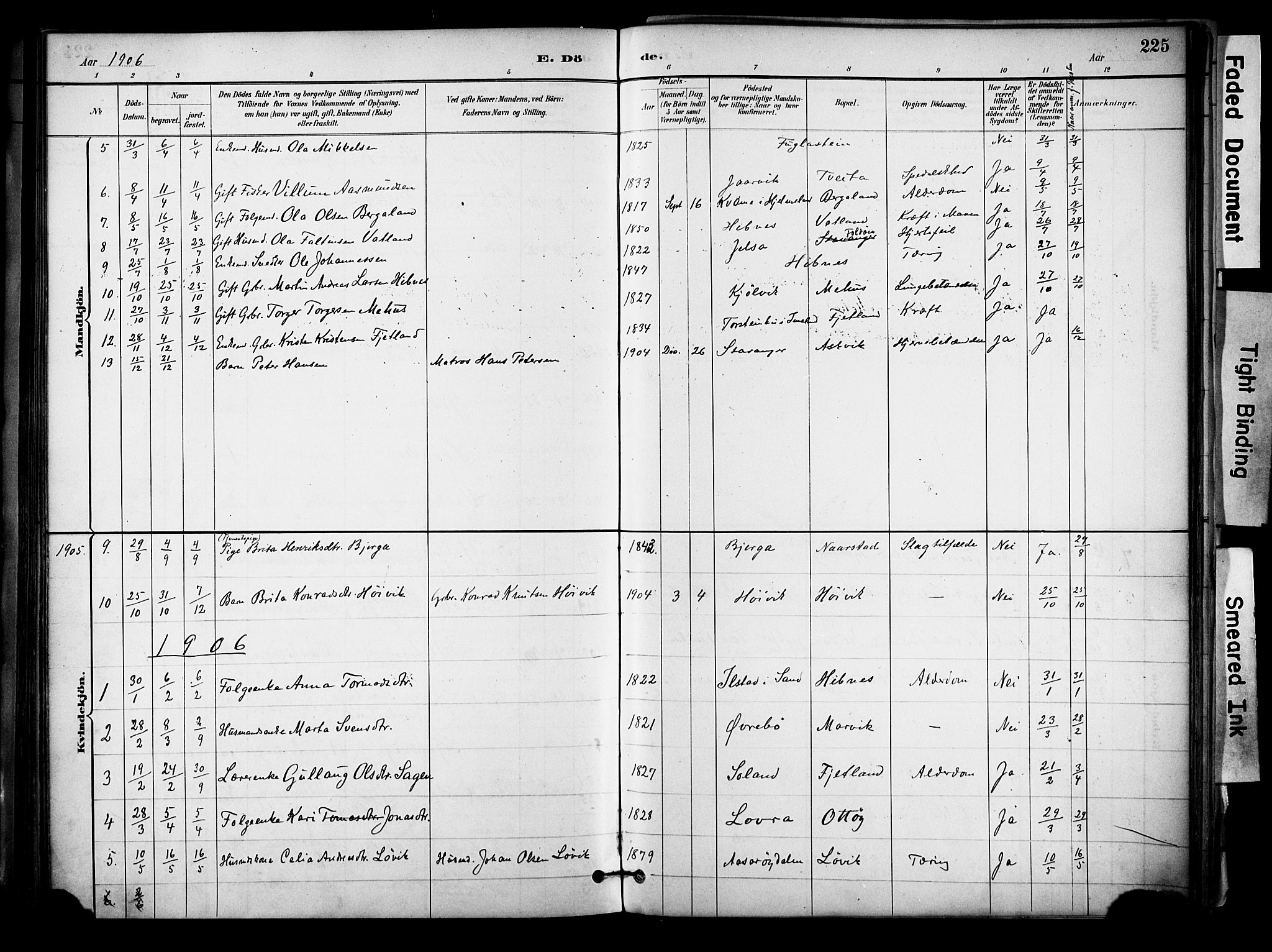 Jelsa sokneprestkontor, AV/SAST-A-101842/01/IV: Parish register (official) no. A 10, 1884-1906, p. 225