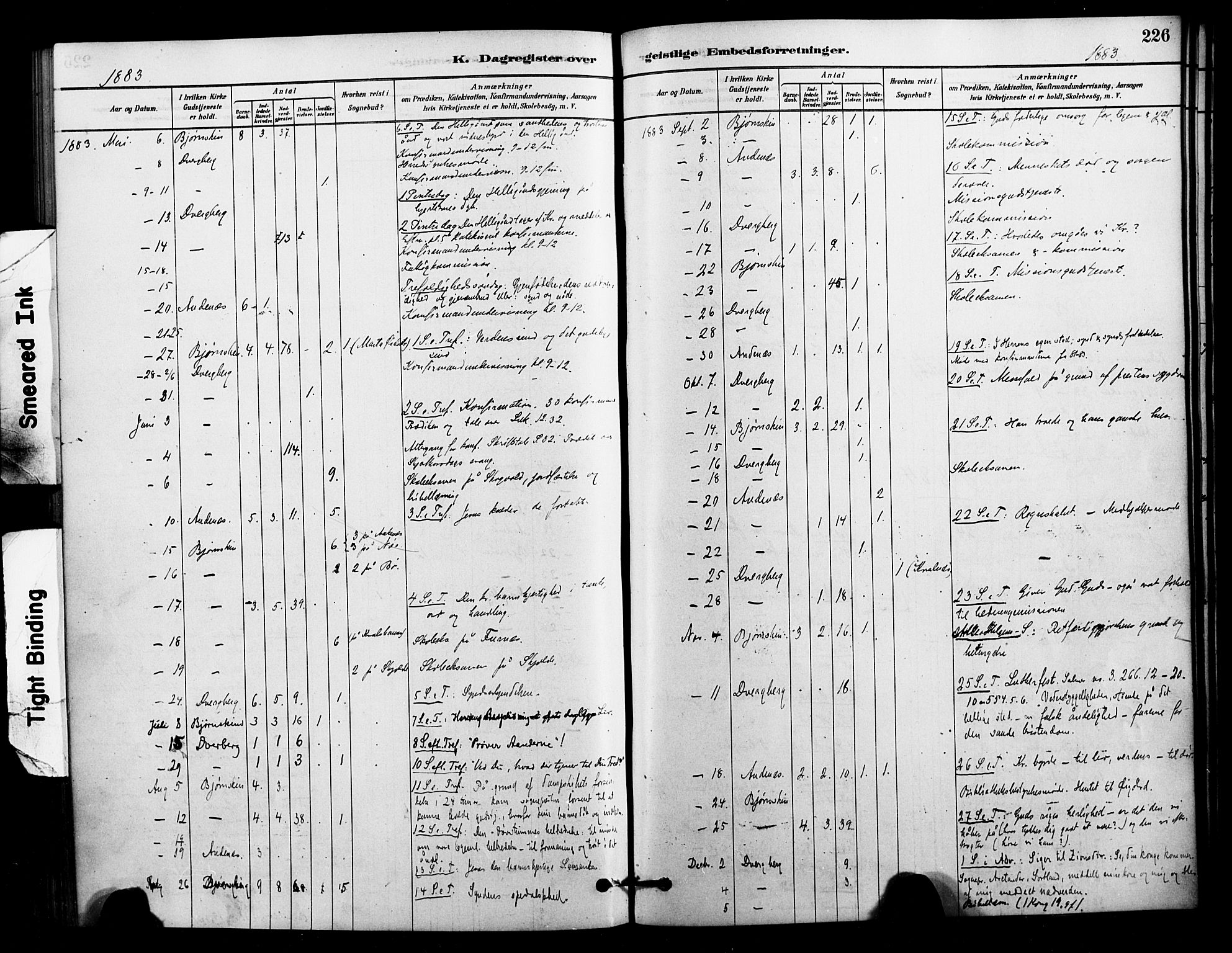 Ministerialprotokoller, klokkerbøker og fødselsregistre - Nordland, AV/SAT-A-1459/897/L1399: Parish register (official) no. 897C06, 1881-1896, p. 226