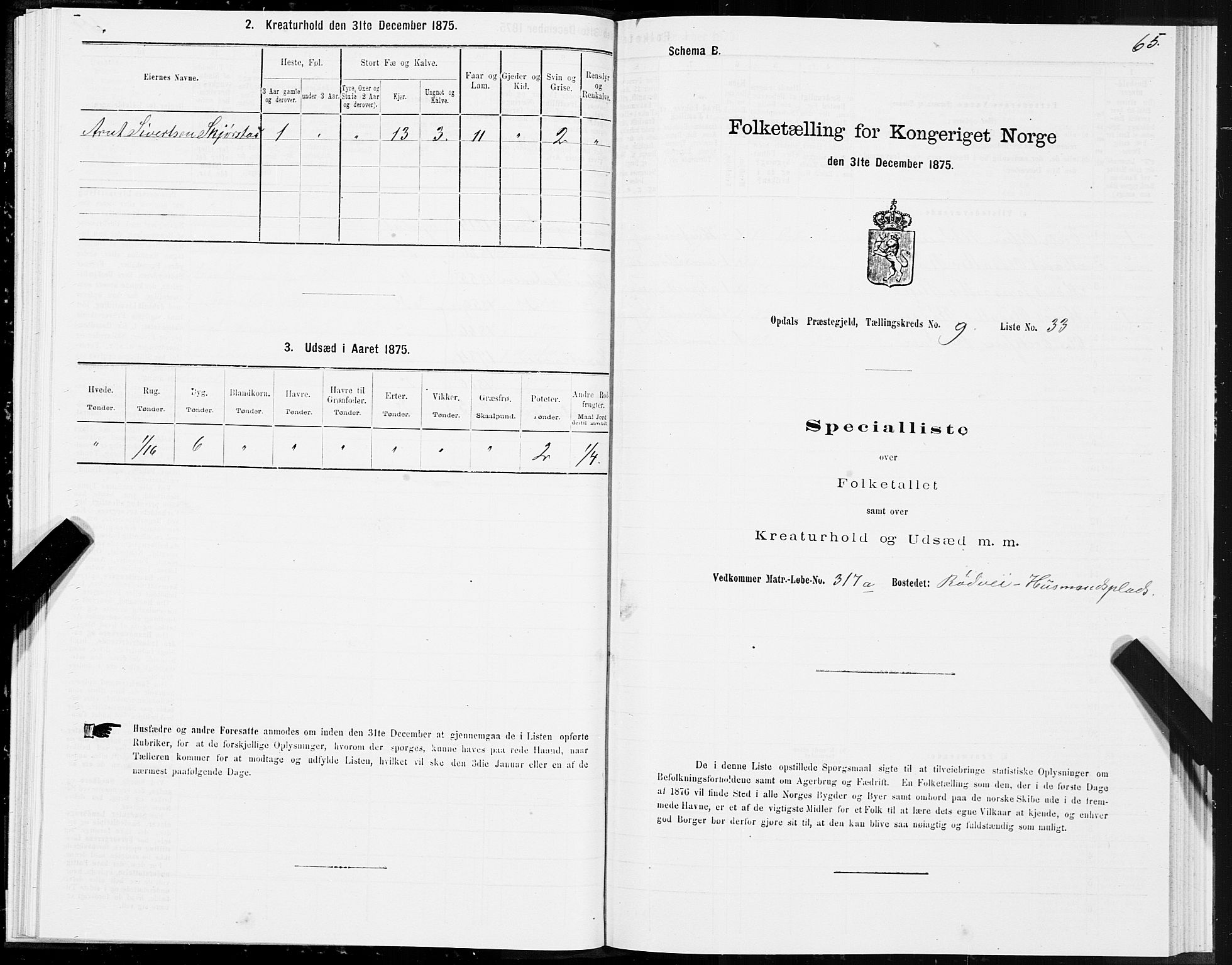 SAT, 1875 census for 1634P Oppdal, 1875, p. 6065