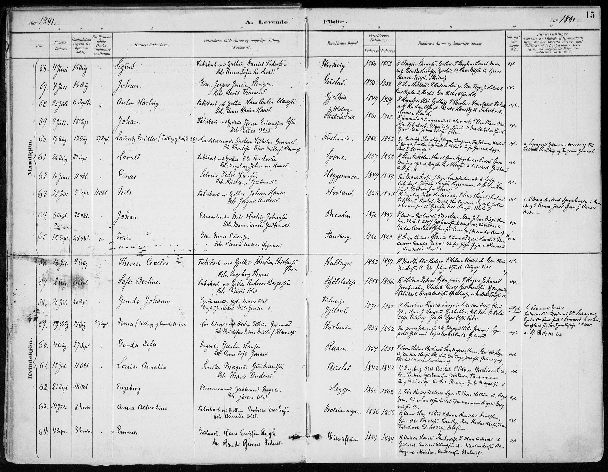 Modum kirkebøker, AV/SAKO-A-234/F/Fa/L0012: Parish register (official) no. 12, 1890-1898, p. 15