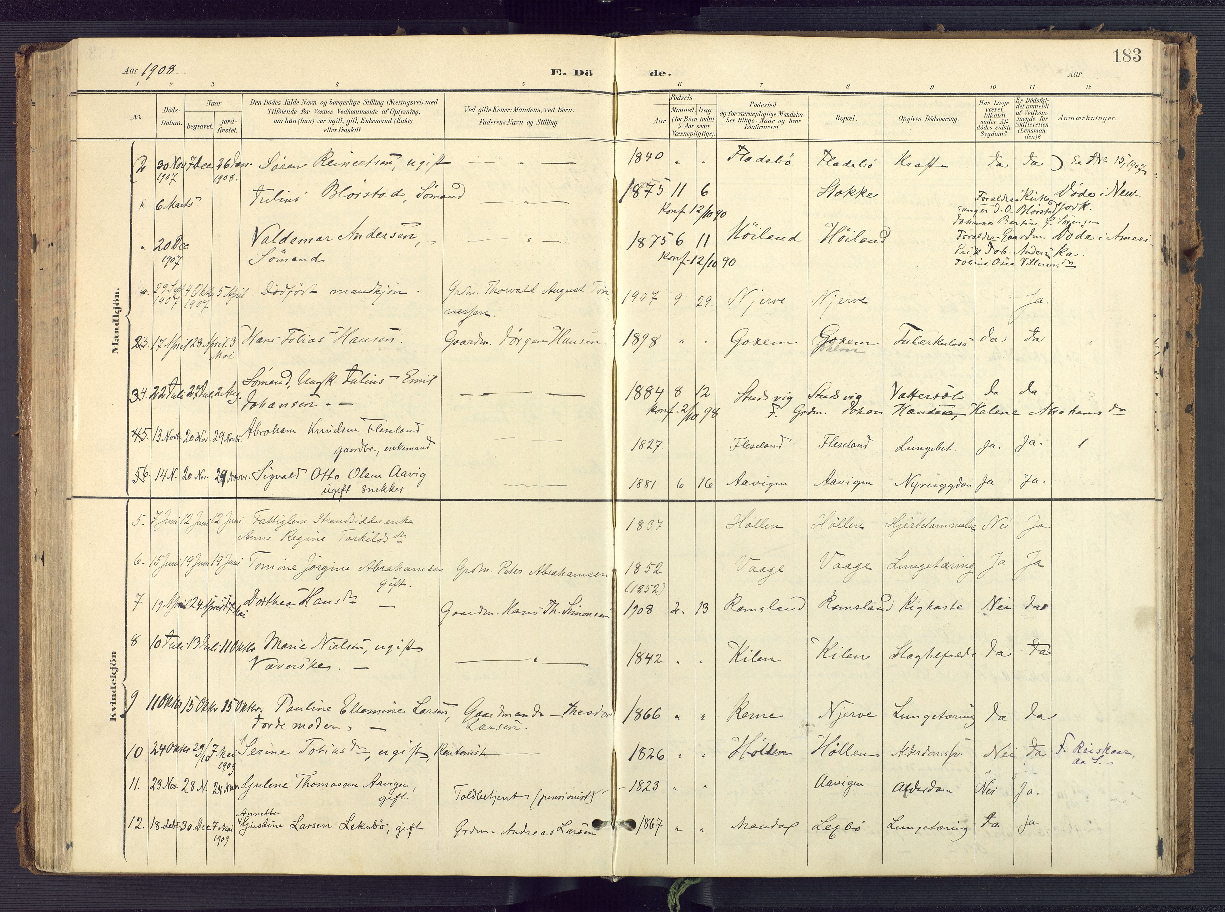 Sør-Audnedal sokneprestkontor, AV/SAK-1111-0039/F/Fa/Faa/L0005: Parish register (official) no. A 5, 1900-1923, p. 183