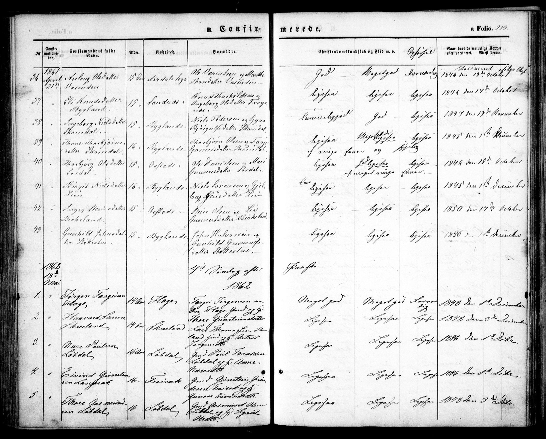 Bygland sokneprestkontor, SAK/1111-0006/F/Fa/Fab/L0005: Parish register (official) no. A 5, 1859-1873, p. 213