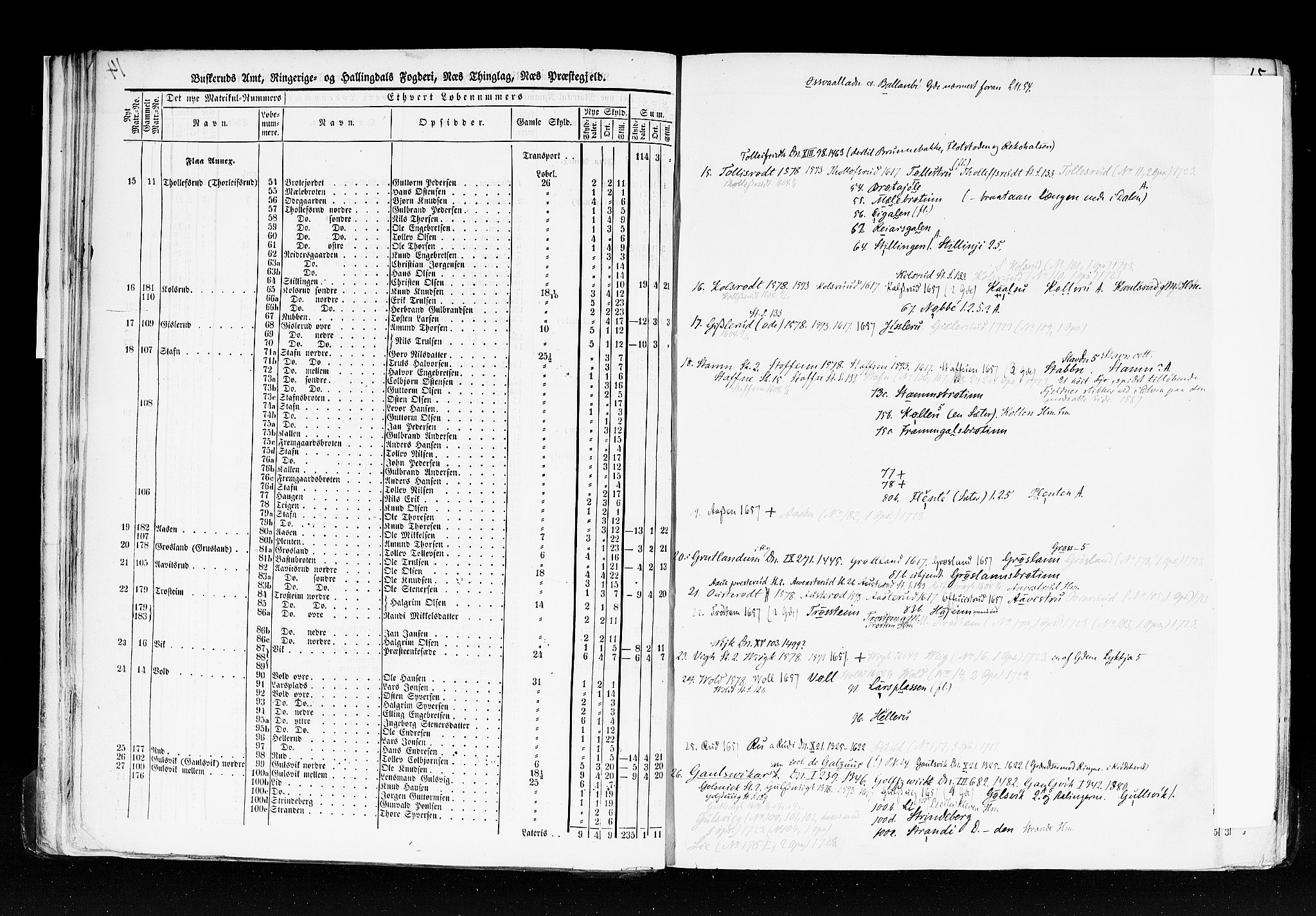 Rygh, AV/RA-PA-0034/F/Fb/L0005: Matrikkelen for 1838 - Buskerud amt (Buskerud fylke), 1838, p. 14b