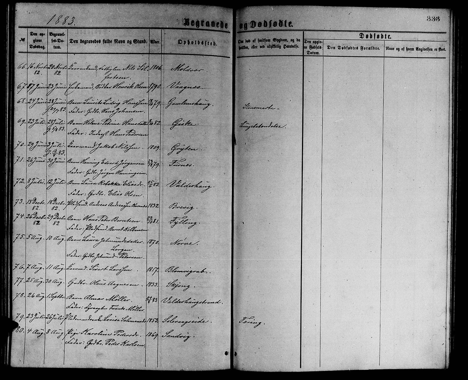 Ministerialprotokoller, klokkerbøker og fødselsregistre - Møre og Romsdal, AV/SAT-A-1454/528/L0429: Parish register (copy) no. 528C10, 1872-1886, p. 333