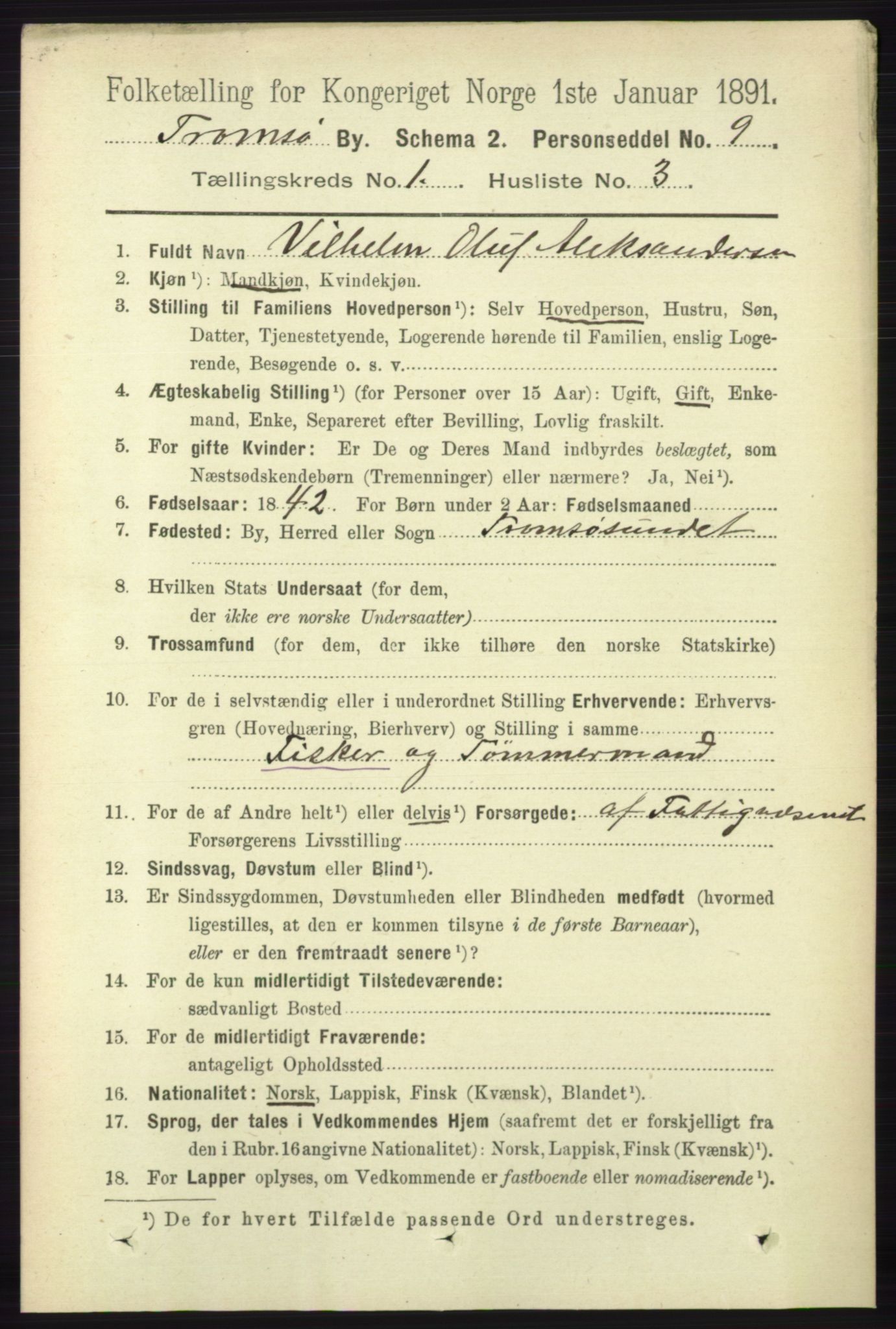 RA, 1891 census for 1902 Tromsø, 1891, p. 308