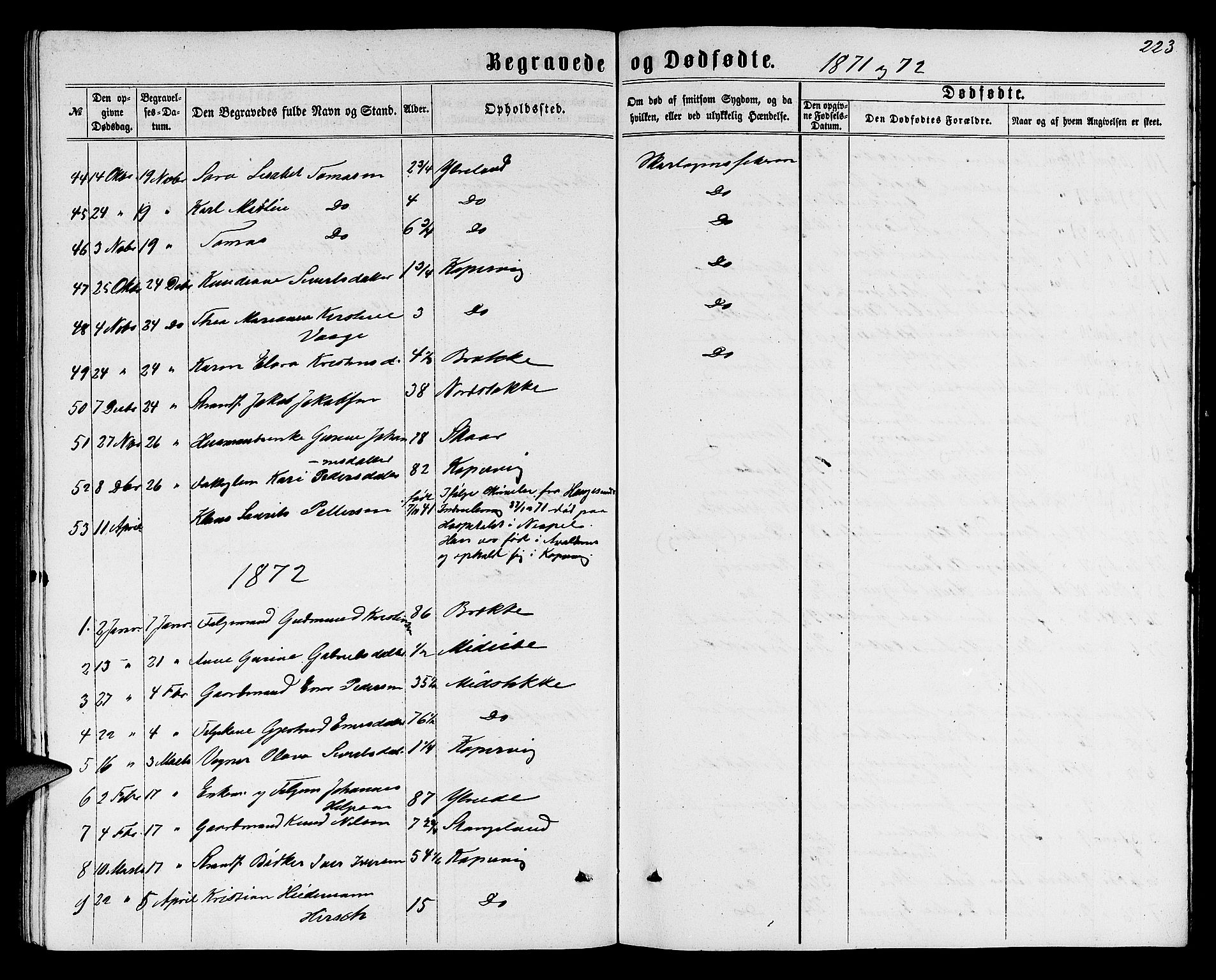 Avaldsnes sokneprestkontor, SAST/A -101851/H/Ha/Hab/L0004: Parish register (copy) no. B 4, 1861-1876, p. 223