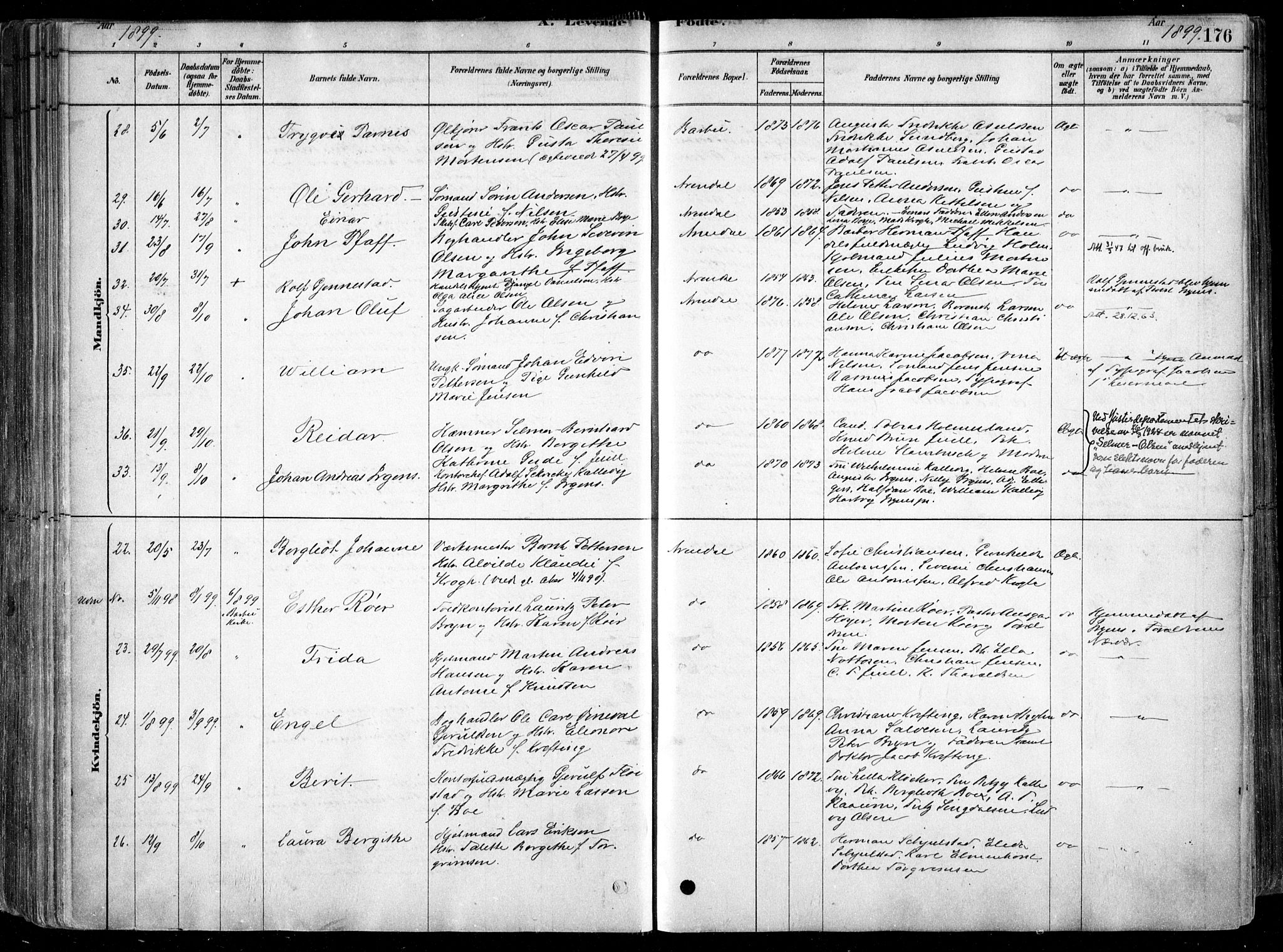 Arendal sokneprestkontor, Trefoldighet, SAK/1111-0040/F/Fa/L0008: Parish register (official) no. A 8, 1878-1899, p. 176