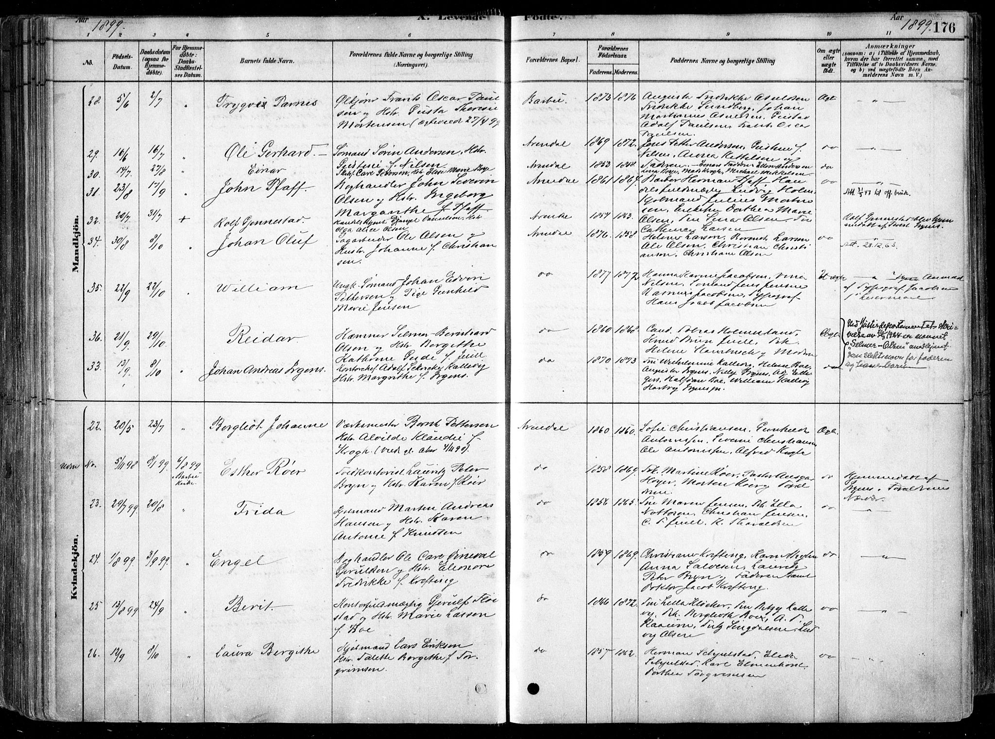 Arendal sokneprestkontor, Trefoldighet, AV/SAK-1111-0040/F/Fa/L0008: Parish register (official) no. A 8, 1878-1899, p. 176