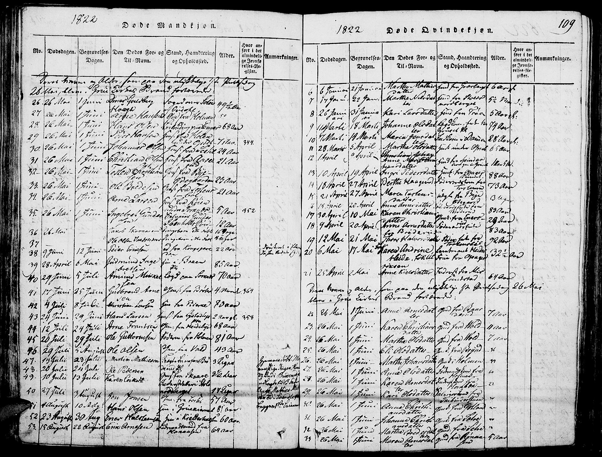 Grue prestekontor, SAH/PREST-036/H/Ha/Haa/L0006: Parish register (official) no. 6, 1814-1830, p. 109