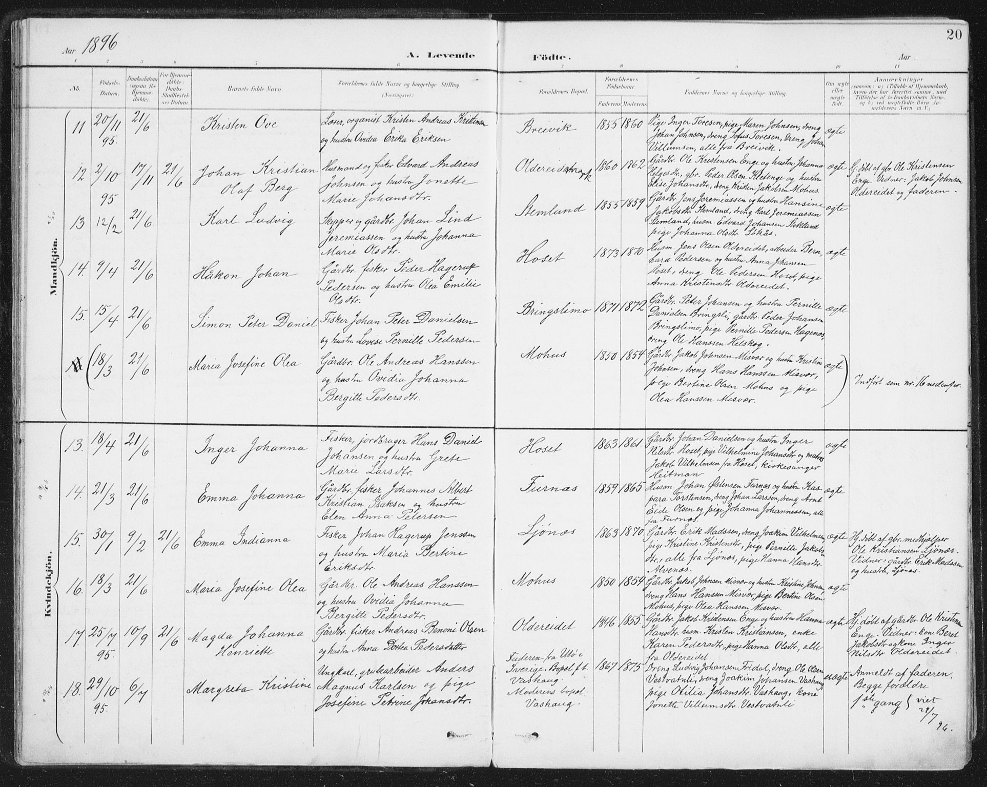 Ministerialprotokoller, klokkerbøker og fødselsregistre - Nordland, SAT/A-1459/852/L0741: Parish register (official) no. 852A11, 1894-1917, p. 20