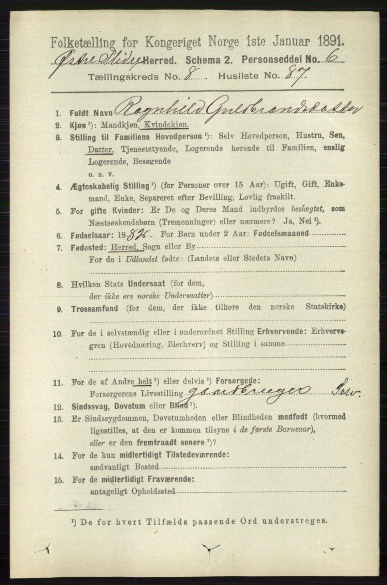 RA, 1891 census for 0544 Øystre Slidre, 1891, p. 3011