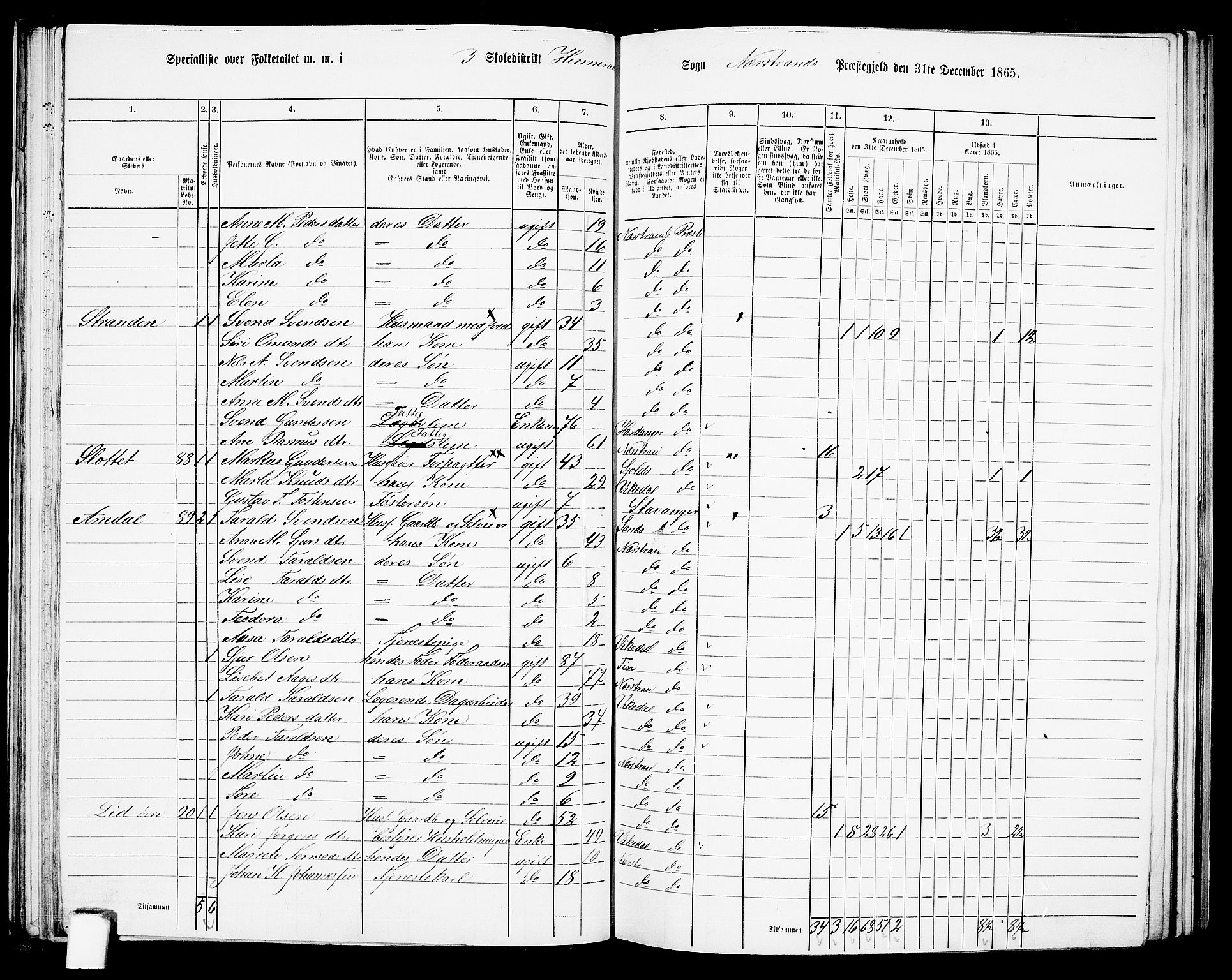 RA, 1865 census for Nedstrand, 1865, p. 53