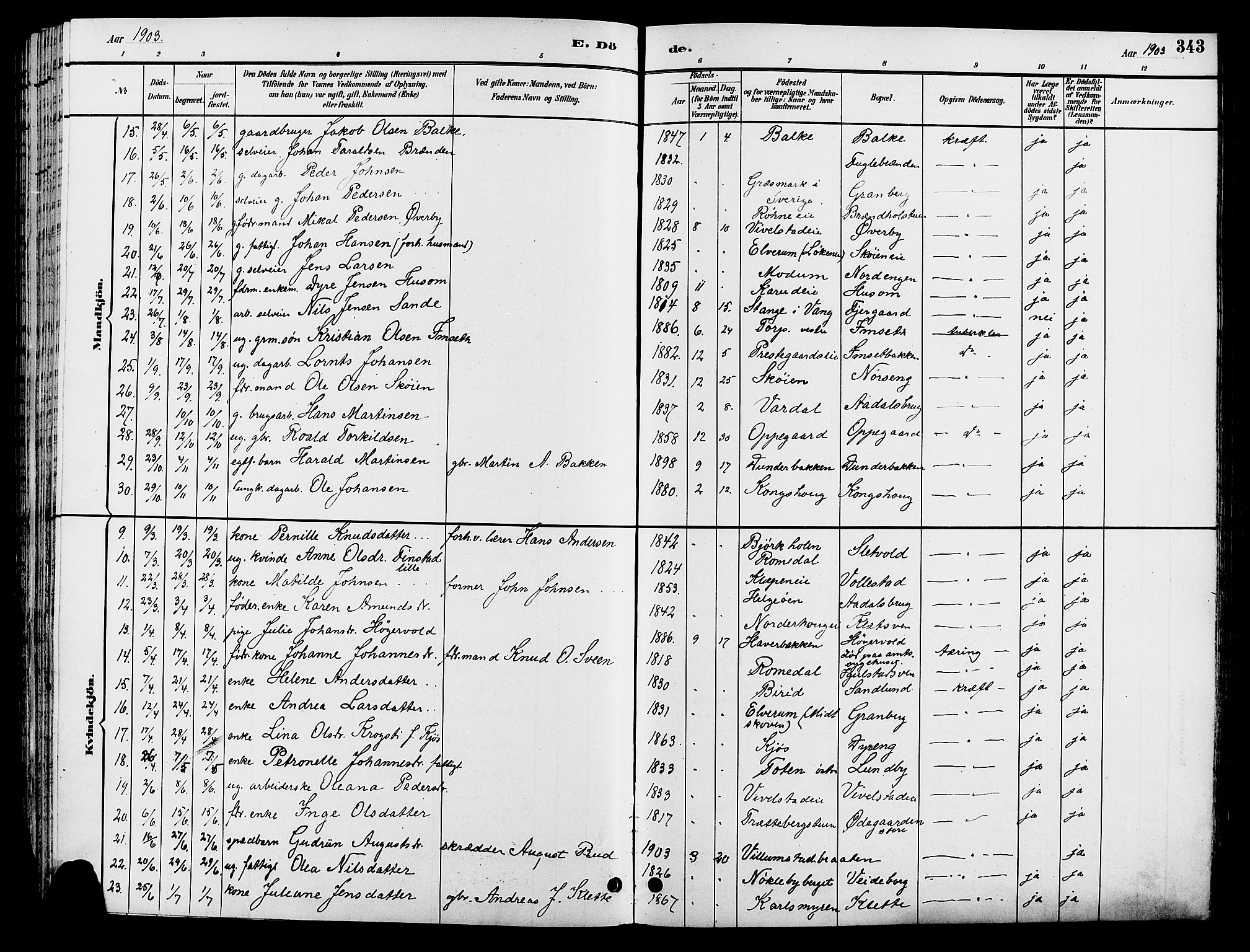 Løten prestekontor, AV/SAH-PREST-022/L/La/L0006: Parish register (copy) no. 6, 1892-1909, p. 343