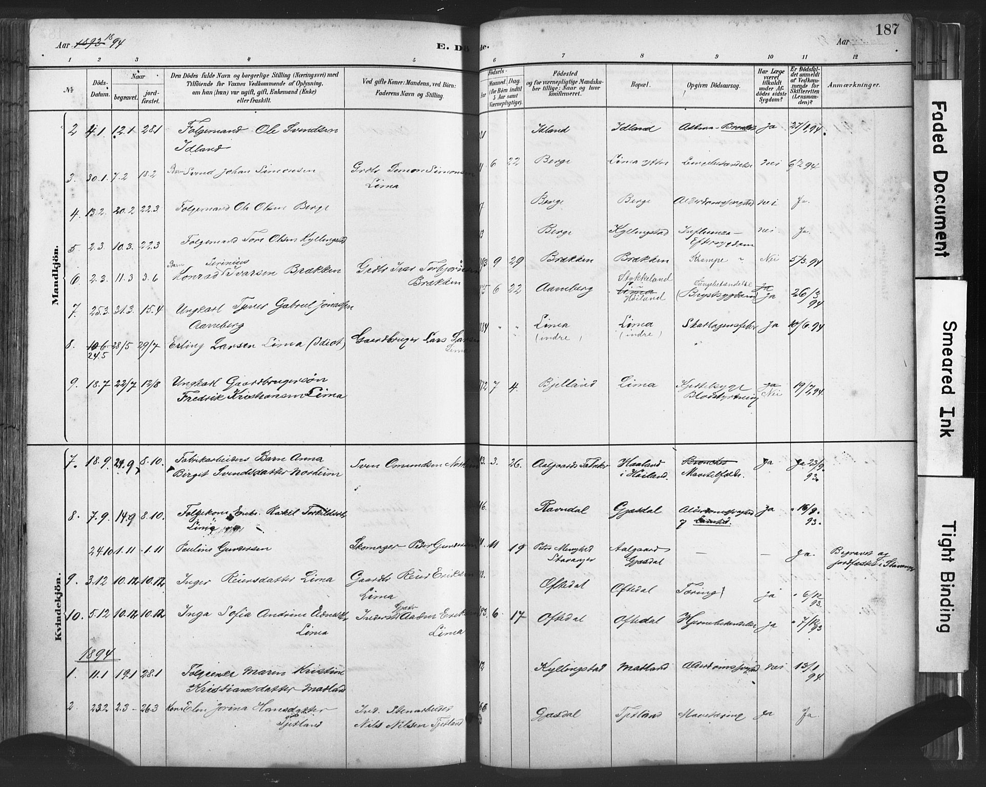 Lye sokneprestkontor, AV/SAST-A-101794/001/30BA/L0010: Parish register (official) no. A 10, 1881-1896, p. 187