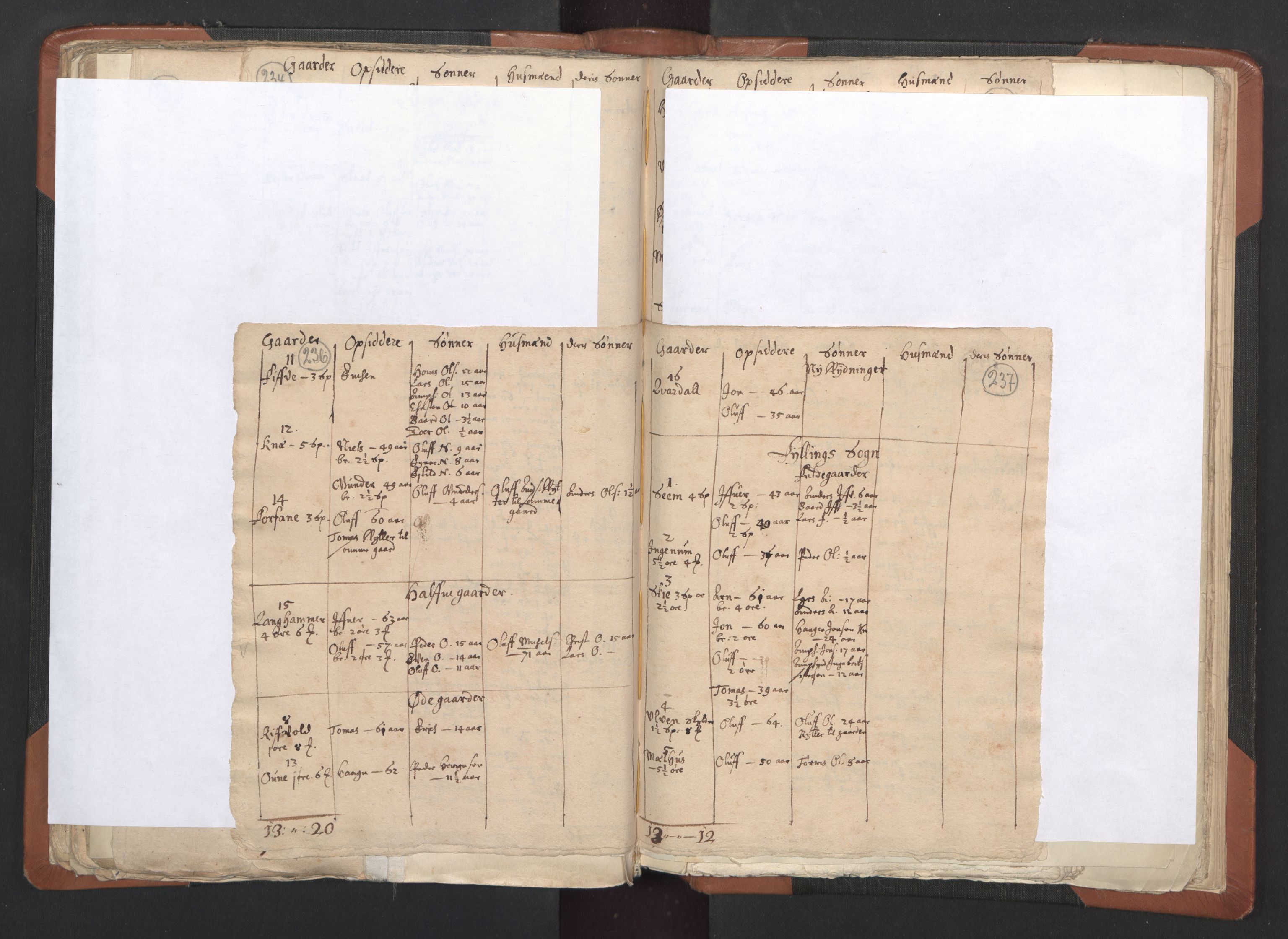 RA, Vicar's Census 1664-1666, no. 33: Innherad deanery, 1664-1666, p. 236-237