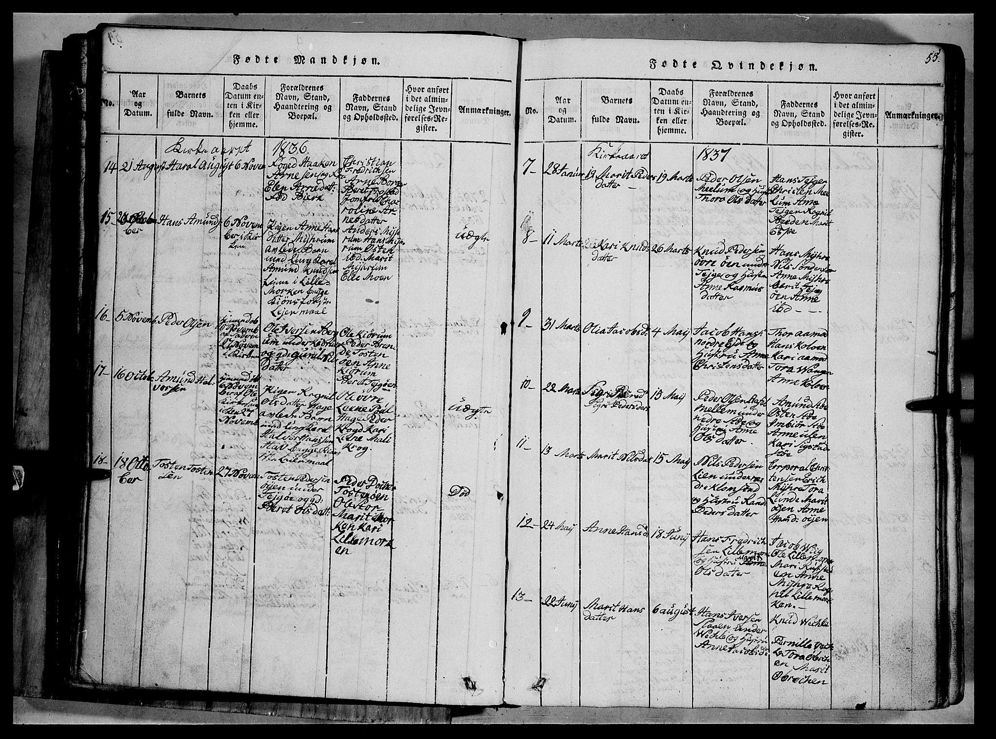 Fron prestekontor, SAH/PREST-078/H/Ha/Hab/L0002: Parish register (copy) no. 2, 1816-1850, p. 55