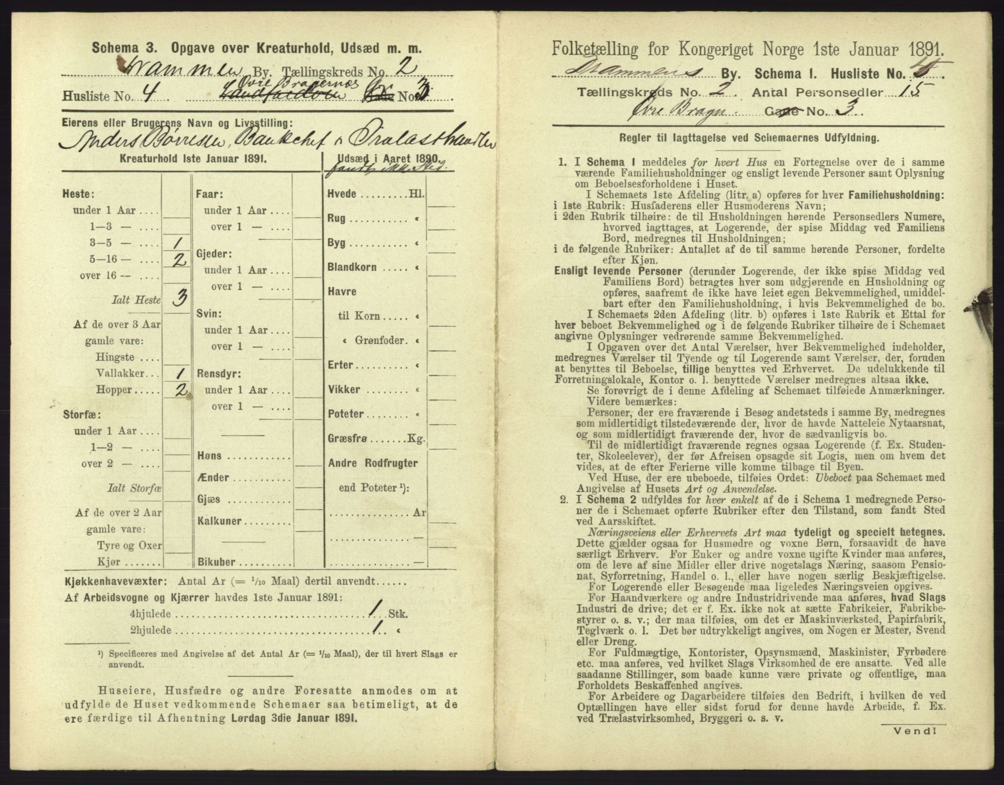 RA, 1891 census for 0602 Drammen, 1891, p. 207