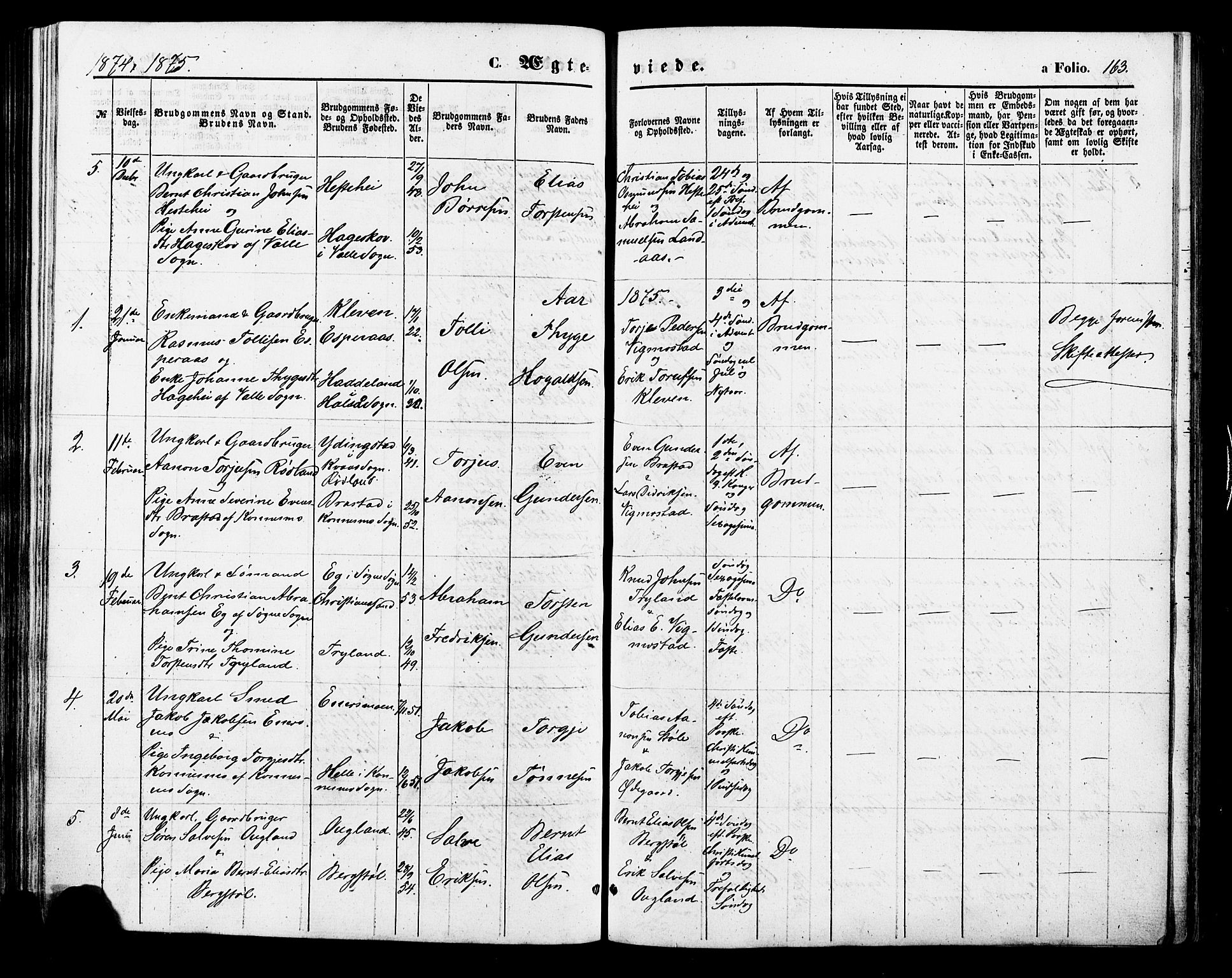 Nord-Audnedal sokneprestkontor, SAK/1111-0032/F/Fa/Fab/L0002: Parish register (official) no. A 2, 1859-1882, p. 163