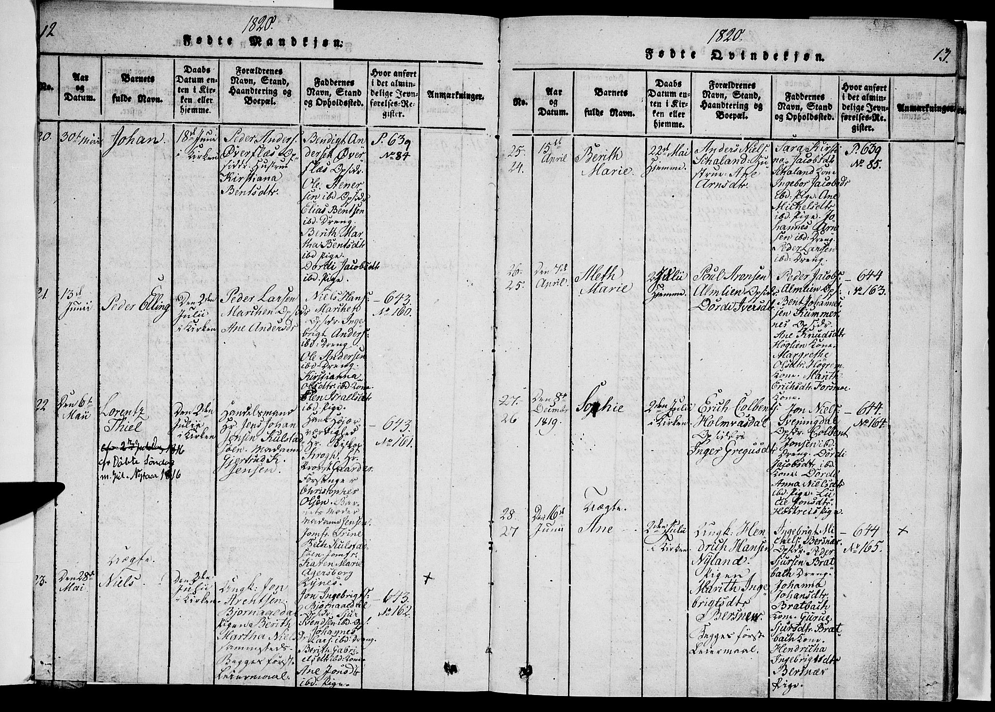 Ministerialprotokoller, klokkerbøker og fødselsregistre - Nordland, AV/SAT-A-1459/820/L0288: Parish register (official) no. 820A09, 1820-1825, p. 12-13